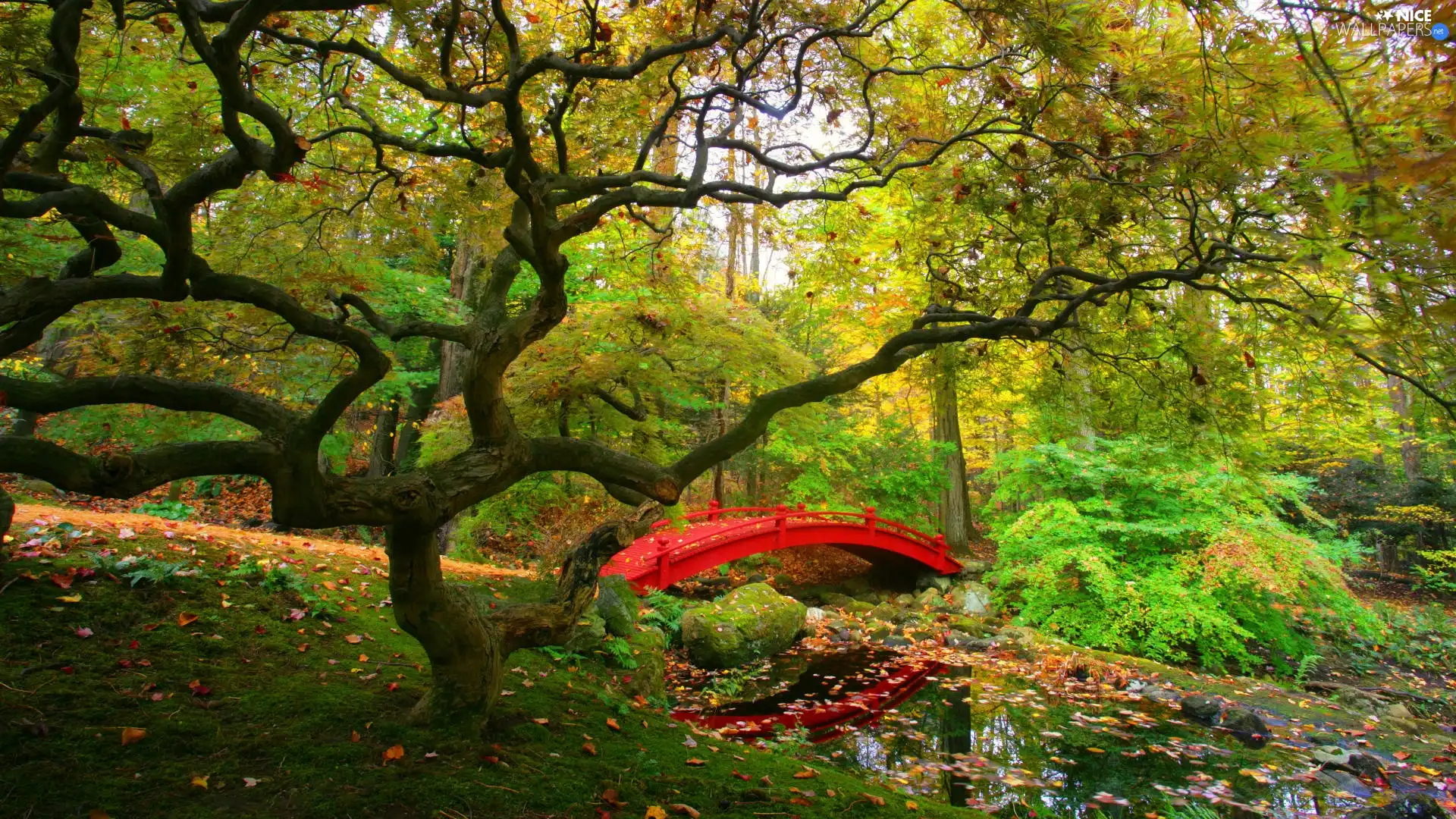 Red, Park, River, bridges