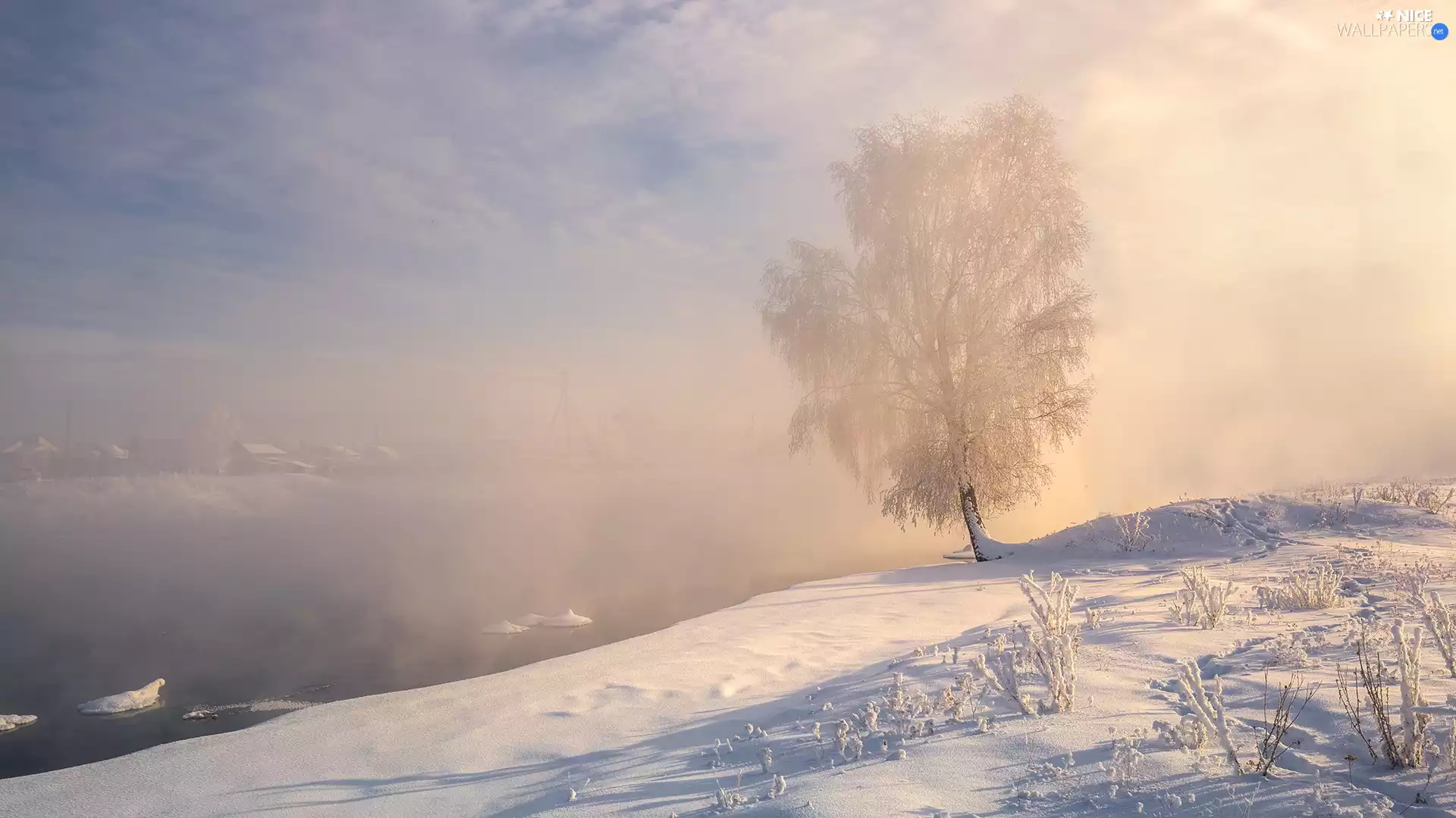 Snowy, winter, Fog, River, trees, snow