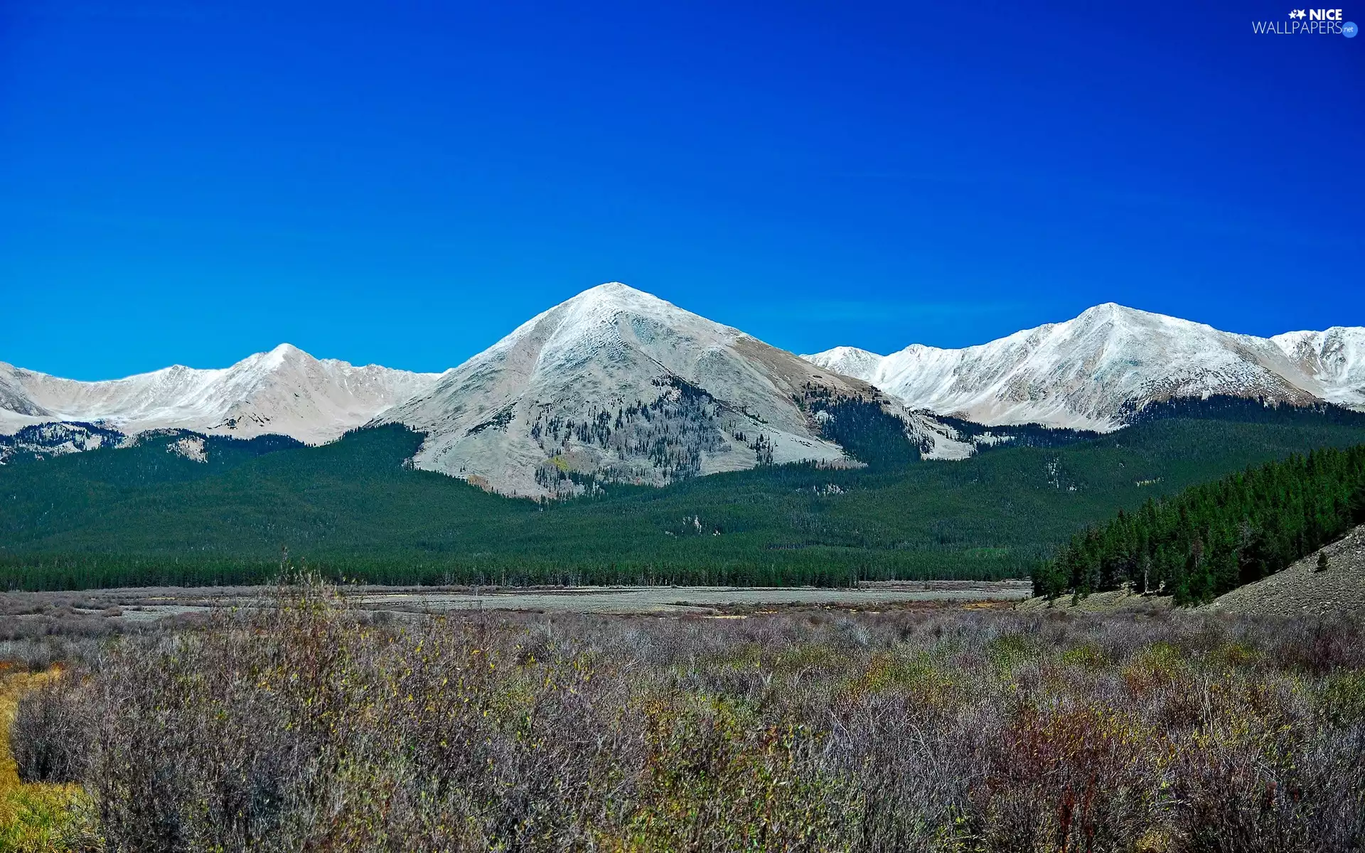woods, River, Snowy, peaks, Mountains