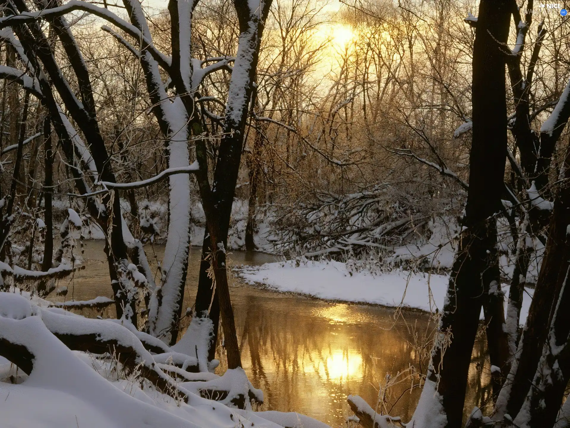 Snowy, viewes, River, trees