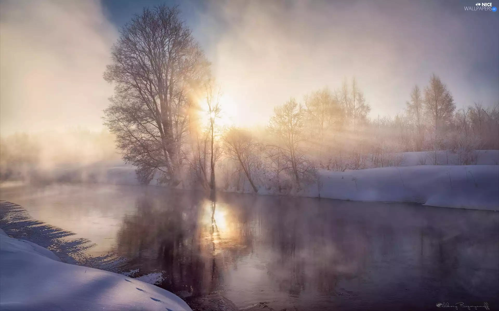 River, winter, viewes, rays of the Sun, trees, Fog