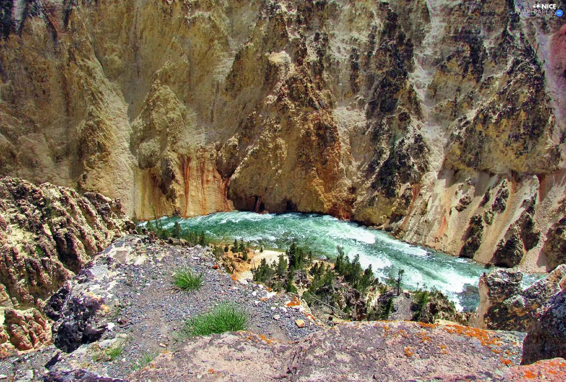 River, canyon, tear