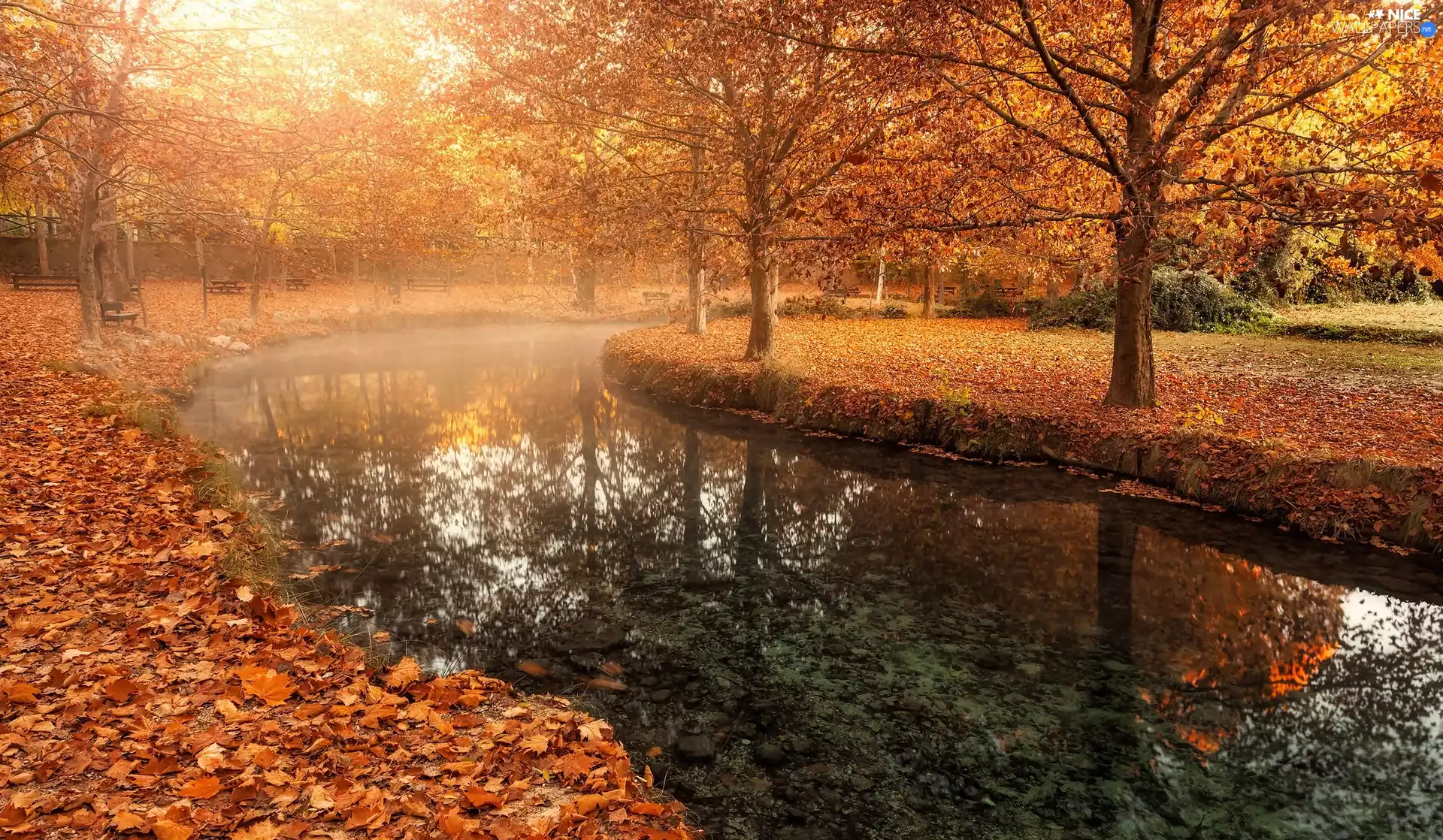Park Fuentes del Marqués, Spain, Fog, River, Leaf, viewes, trees, City of Caravaca de la Cruz, Murcia Province, autumn, bench