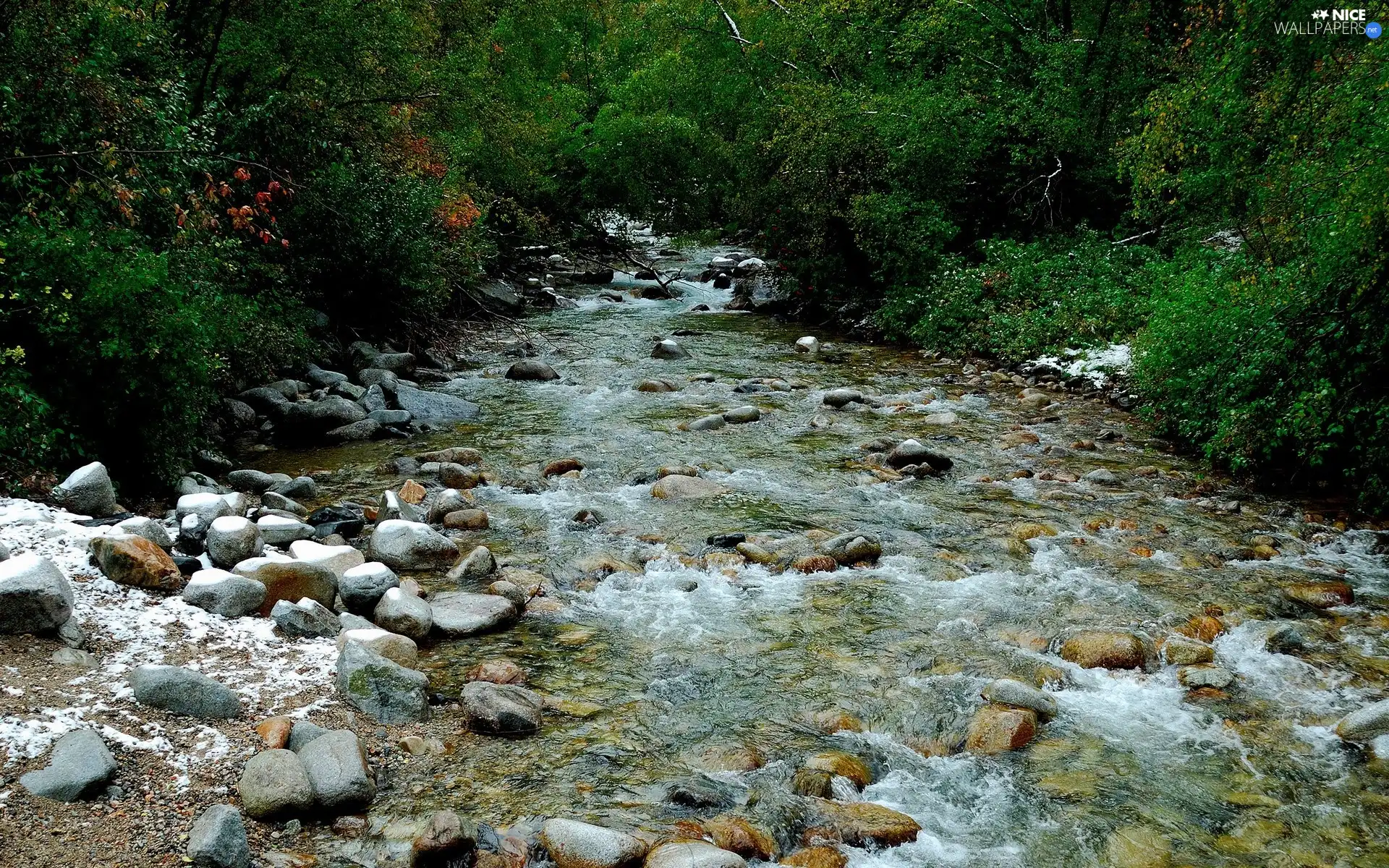 trees, Stones, River, viewes