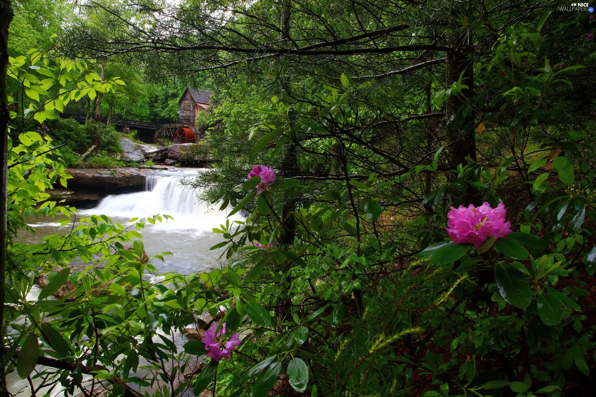 River, vegetation, water, waterfall, Windmill