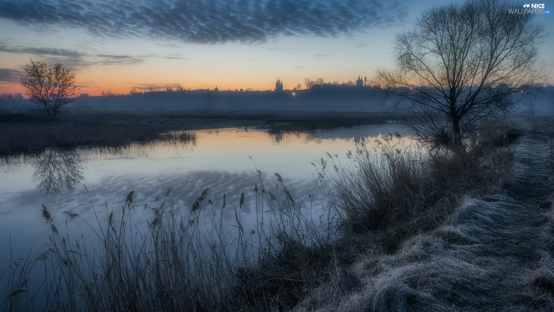 Fog, Sunrise, viewes, River, morning, trees, rushes