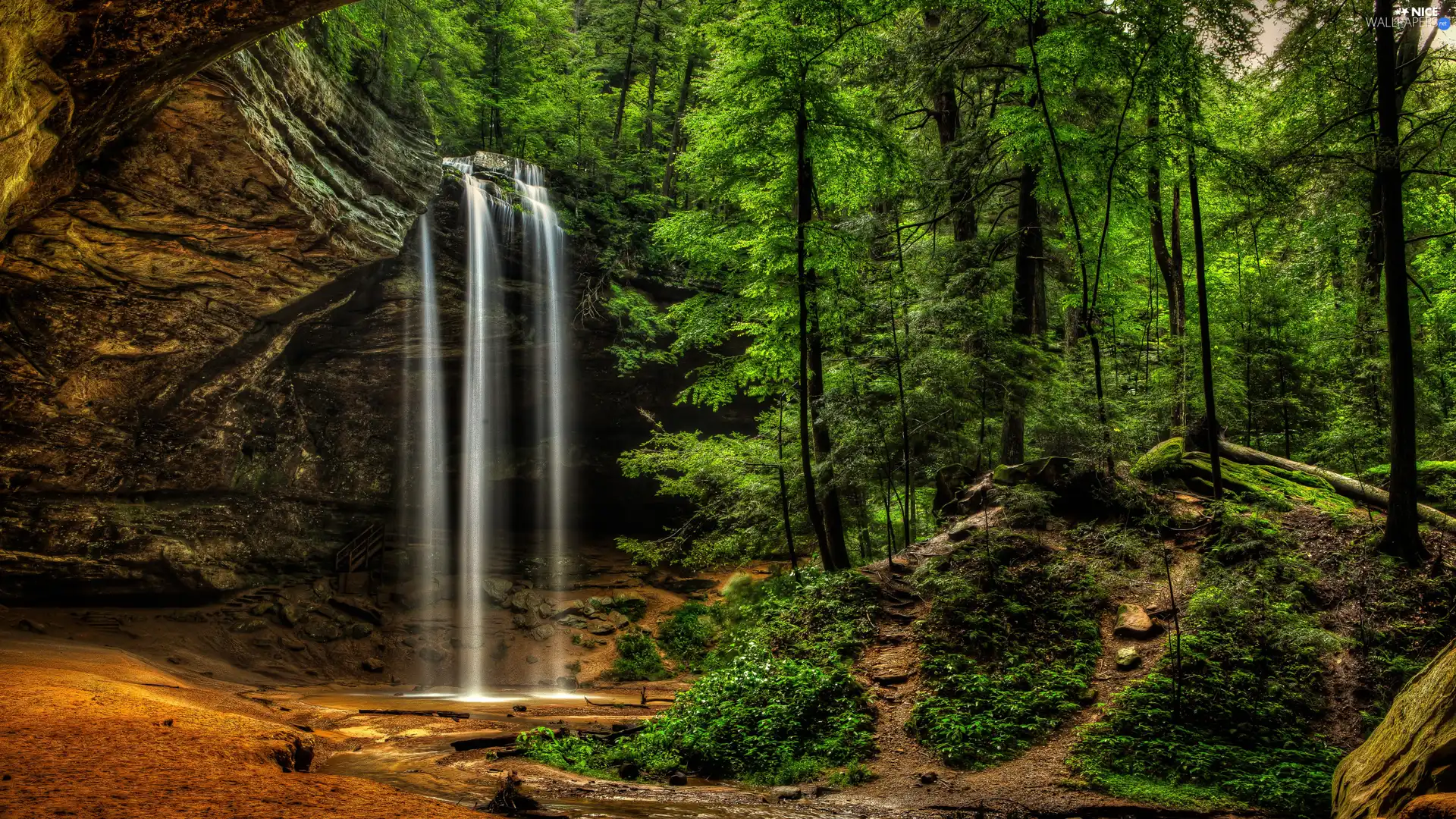 waterfall, forest, River, rocks