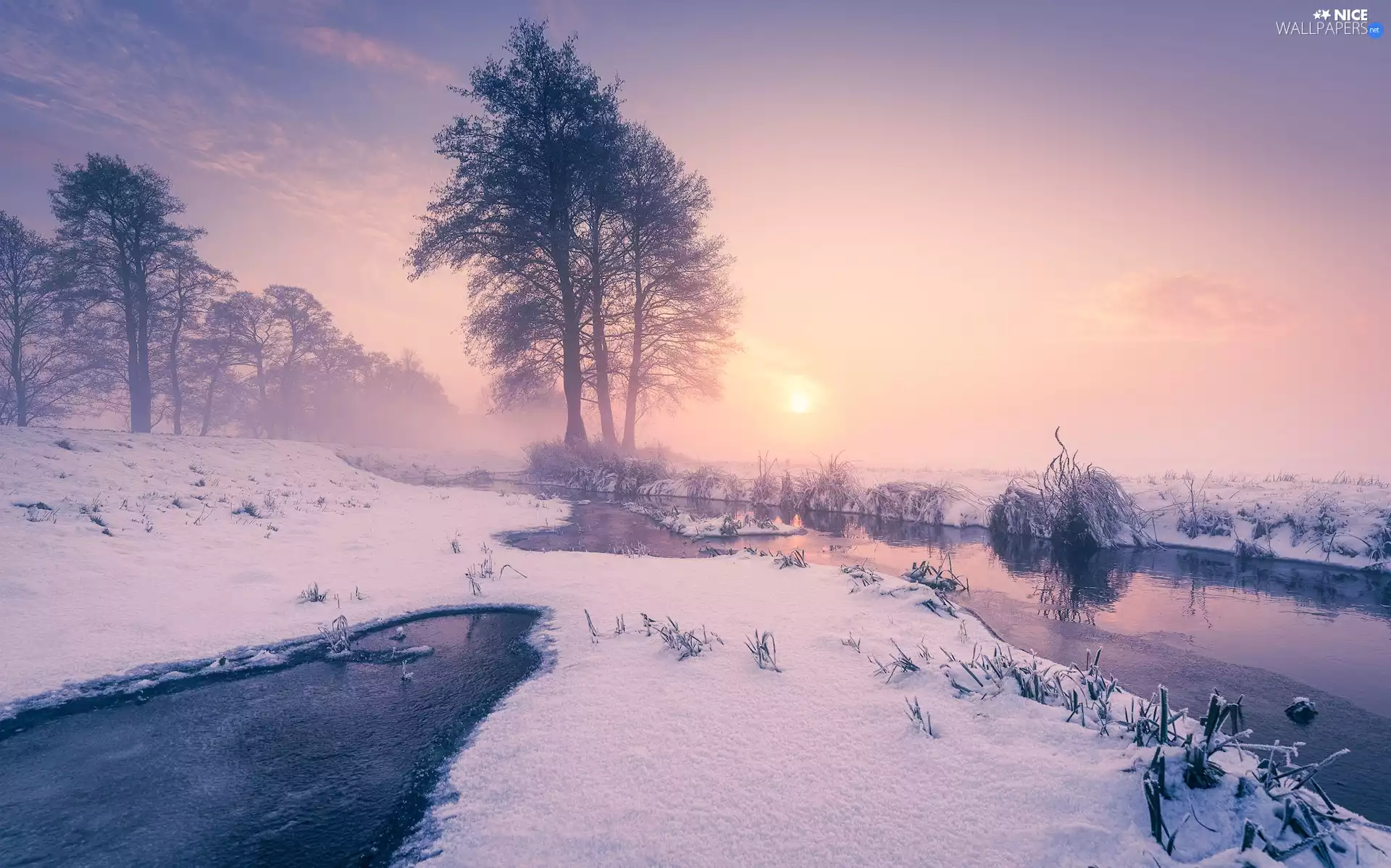 trees, Fog, winter, River, Sunrise, viewes, snow