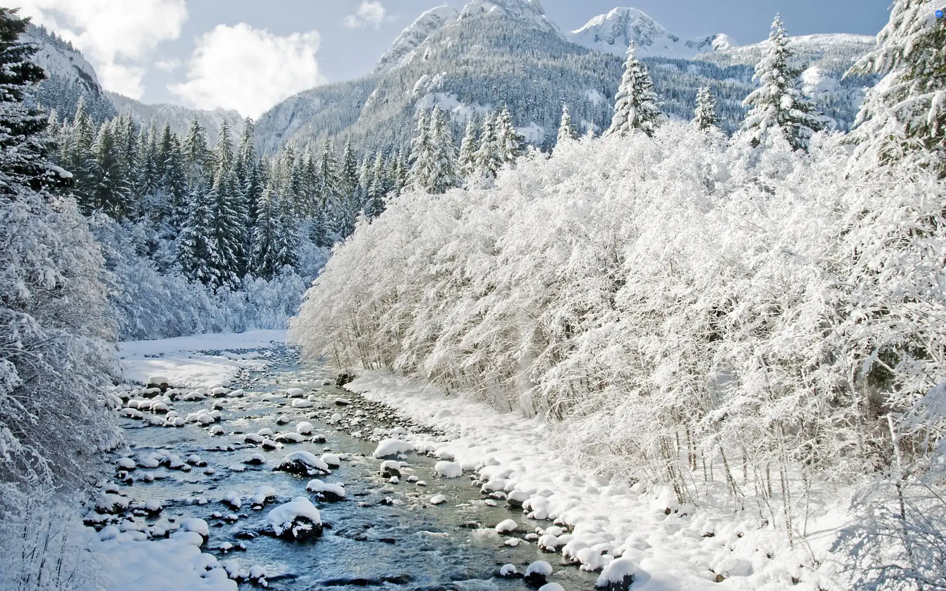 River, winter, trees, viewes, Mountains