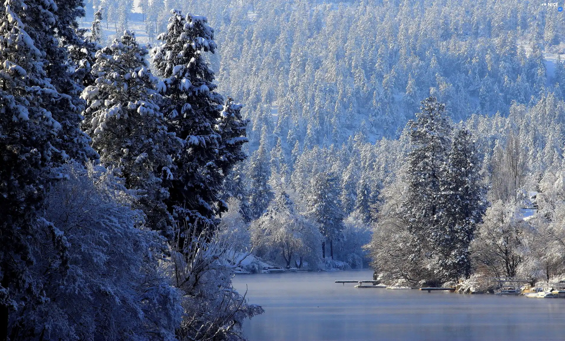 River, winter, woods