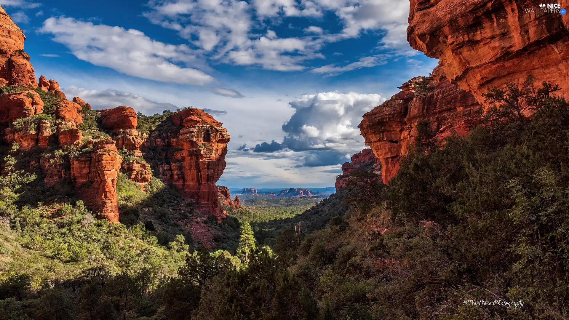 rocks, State of Arizona, trees, Sedona, The United States, Rock Formations, viewes