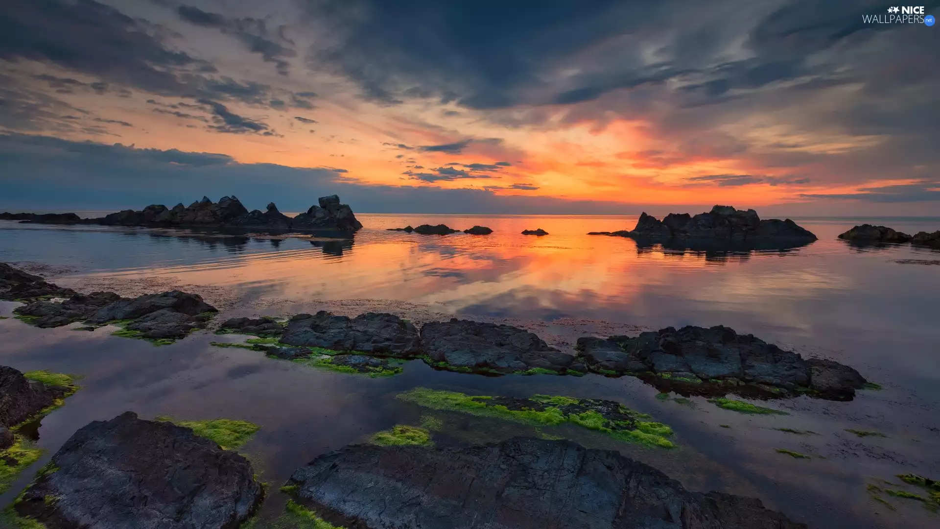 sea, rocks, algae, Great Sunsets