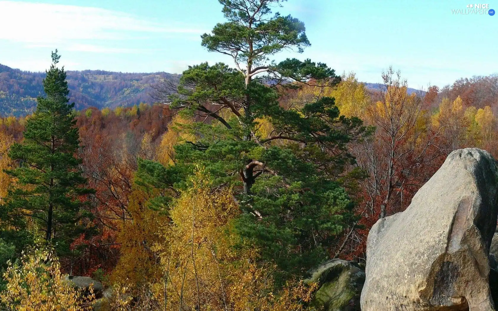 trees, Mountains, rocks, autumn, viewes, woods
