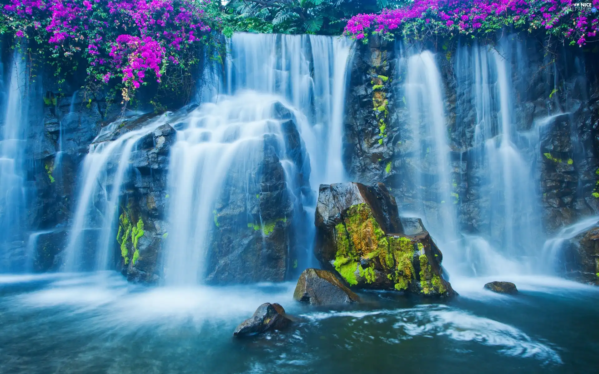 rocks, waterfall, Flowers