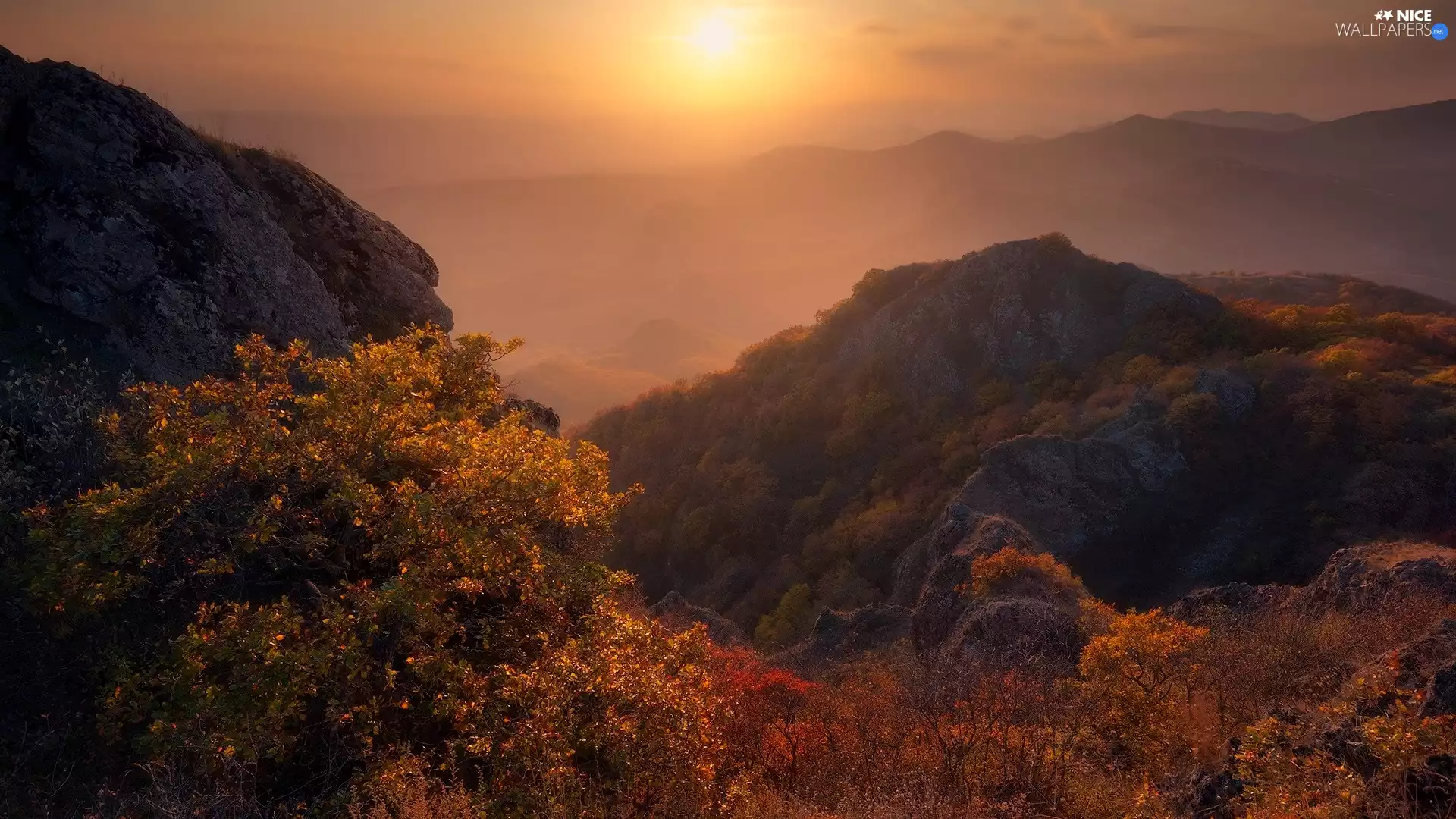 trees, Mountains, Fog, rocks, autumn, viewes, sun