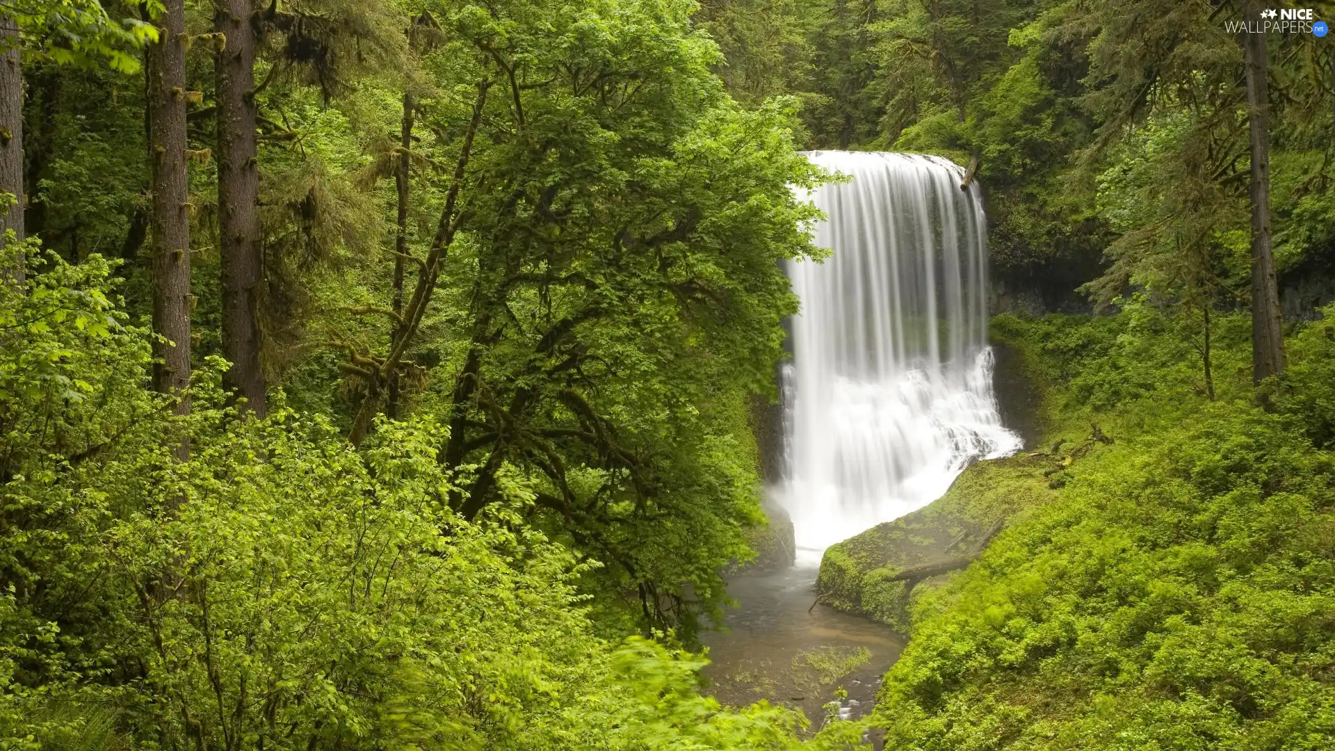 Rocks, waterfall, forest