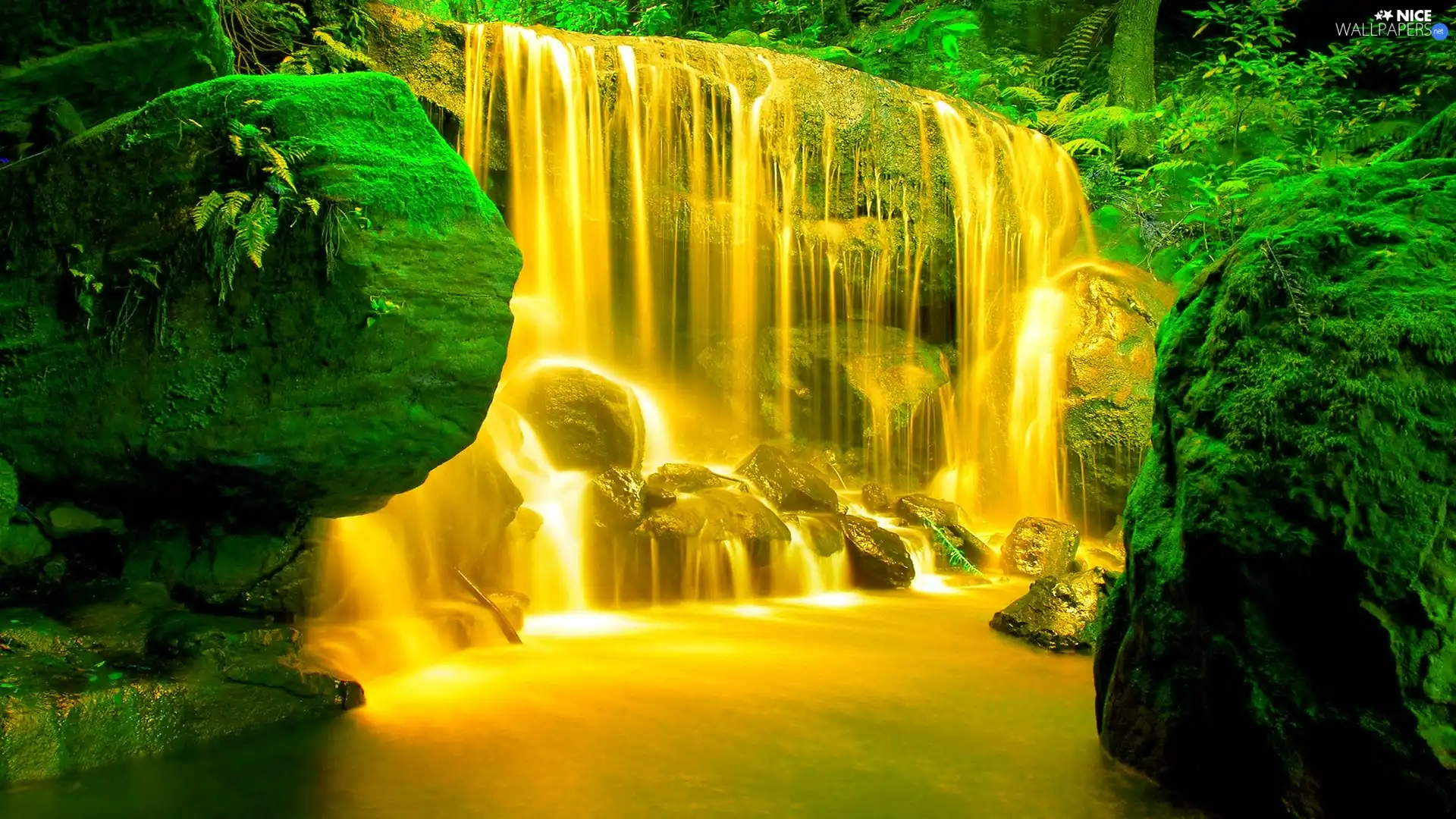 Golden, green ones, rocks, waterfall