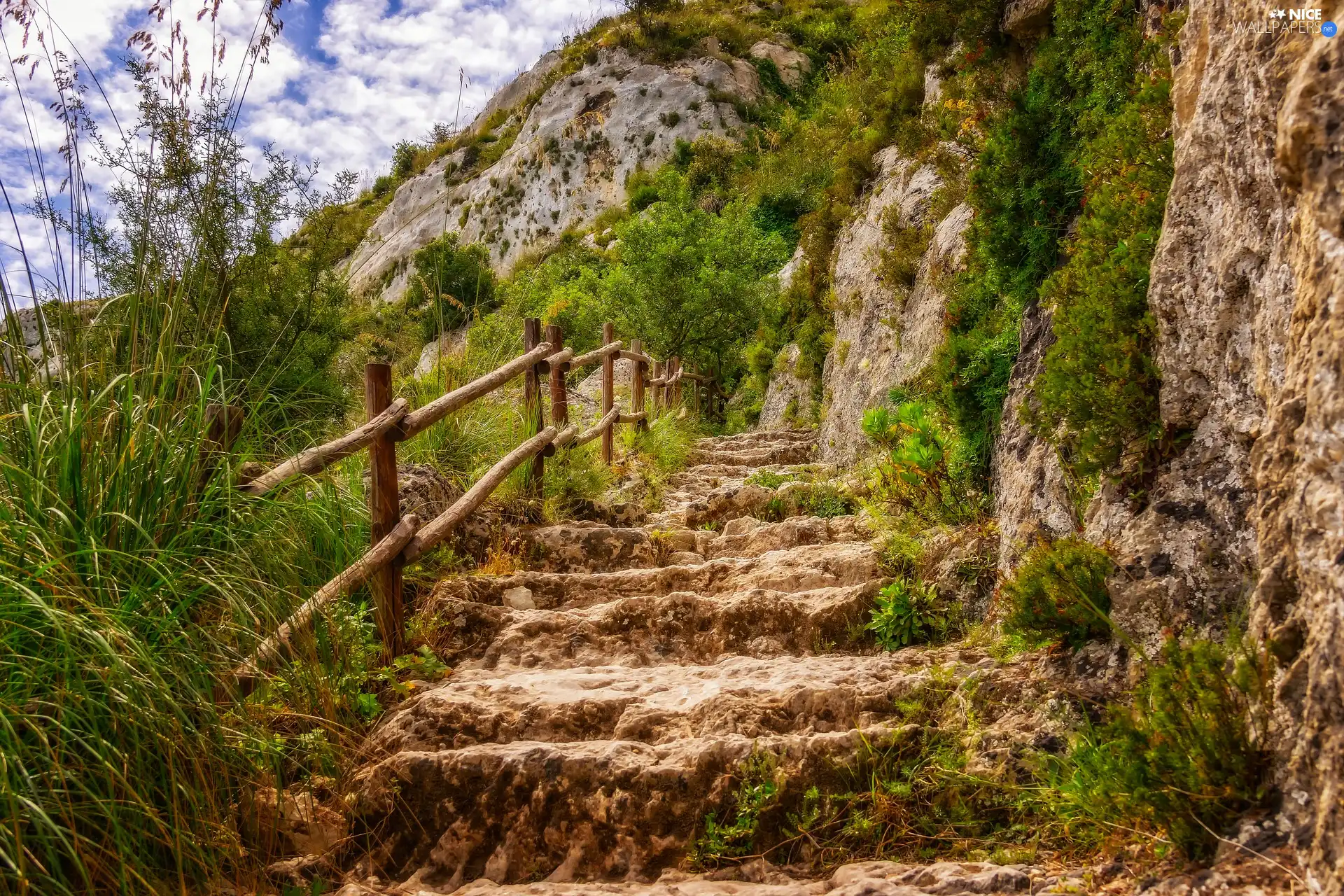 Hill, grass, hand-rail, Bush, VEGETATION, Stairs, Rocks