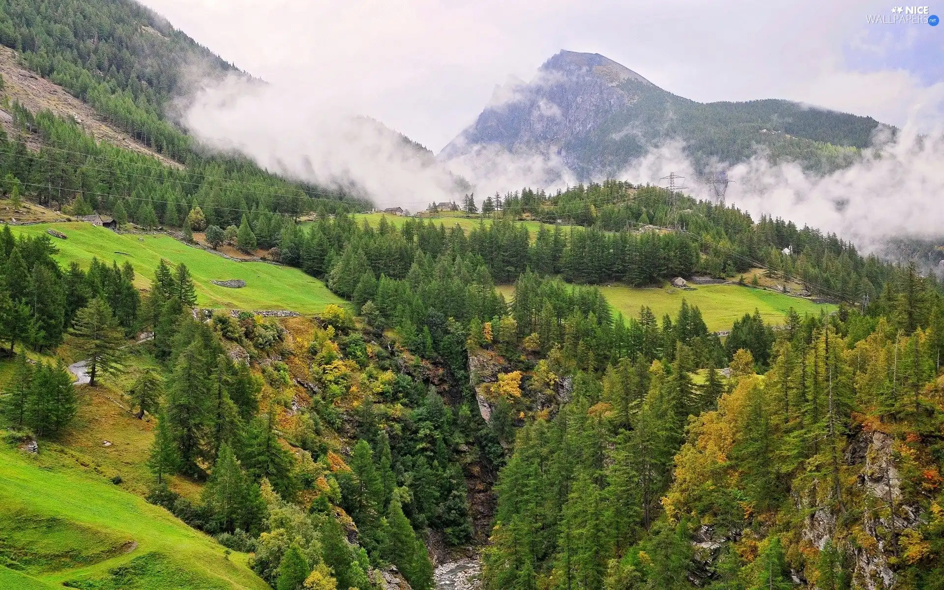 Mountains, Fog, rocks, woods