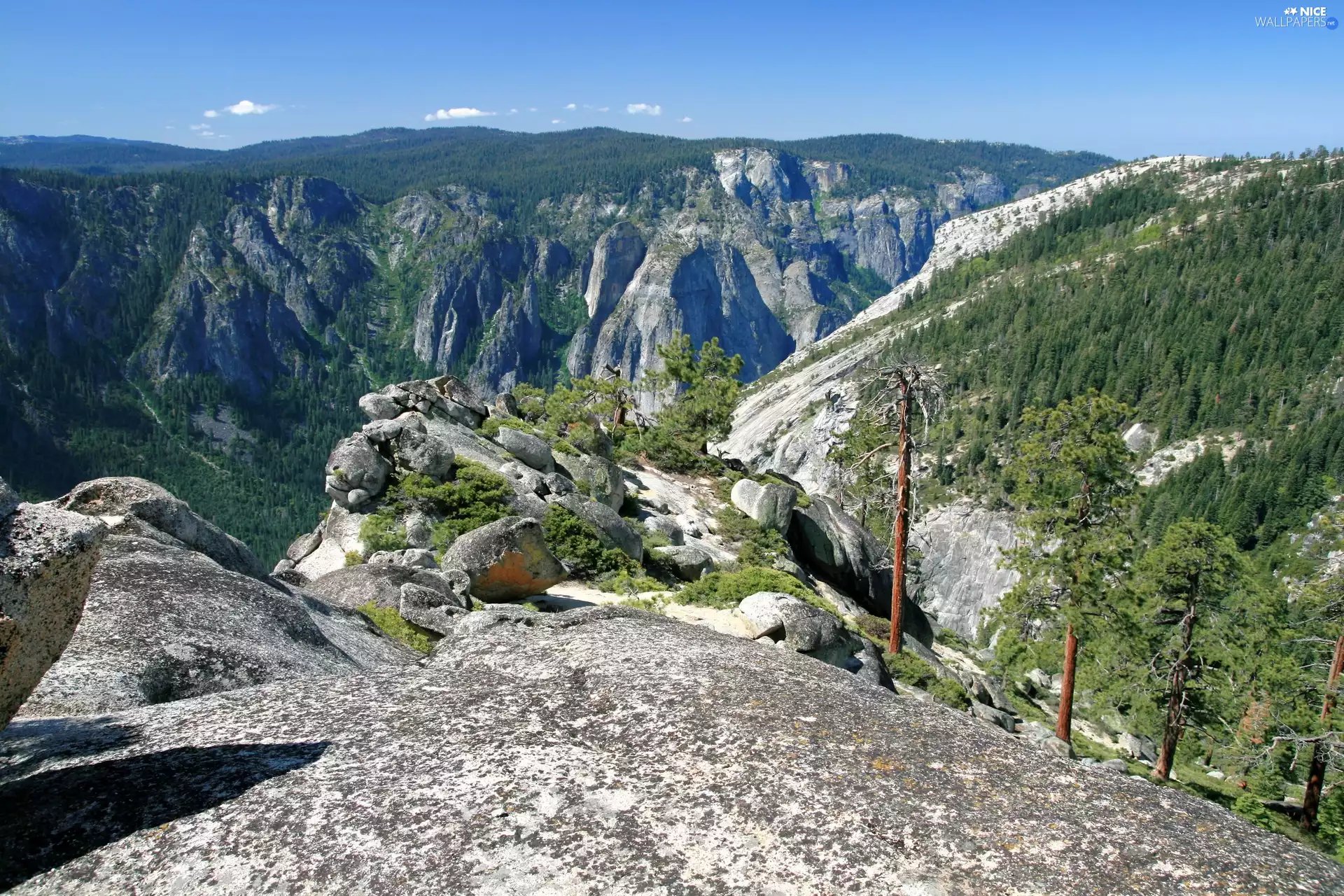 Mountains, trees, viewes, rocks
