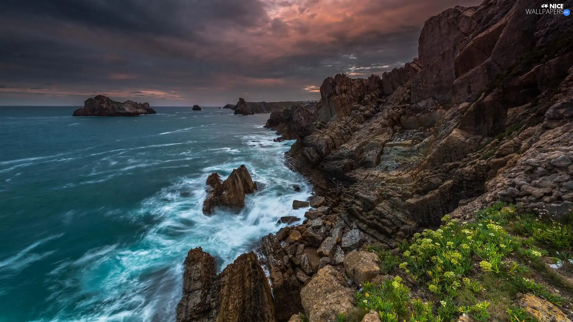 rocks, sea, coast, Waves, clouds, Great Sunsets, Flowers, Plants, Stones