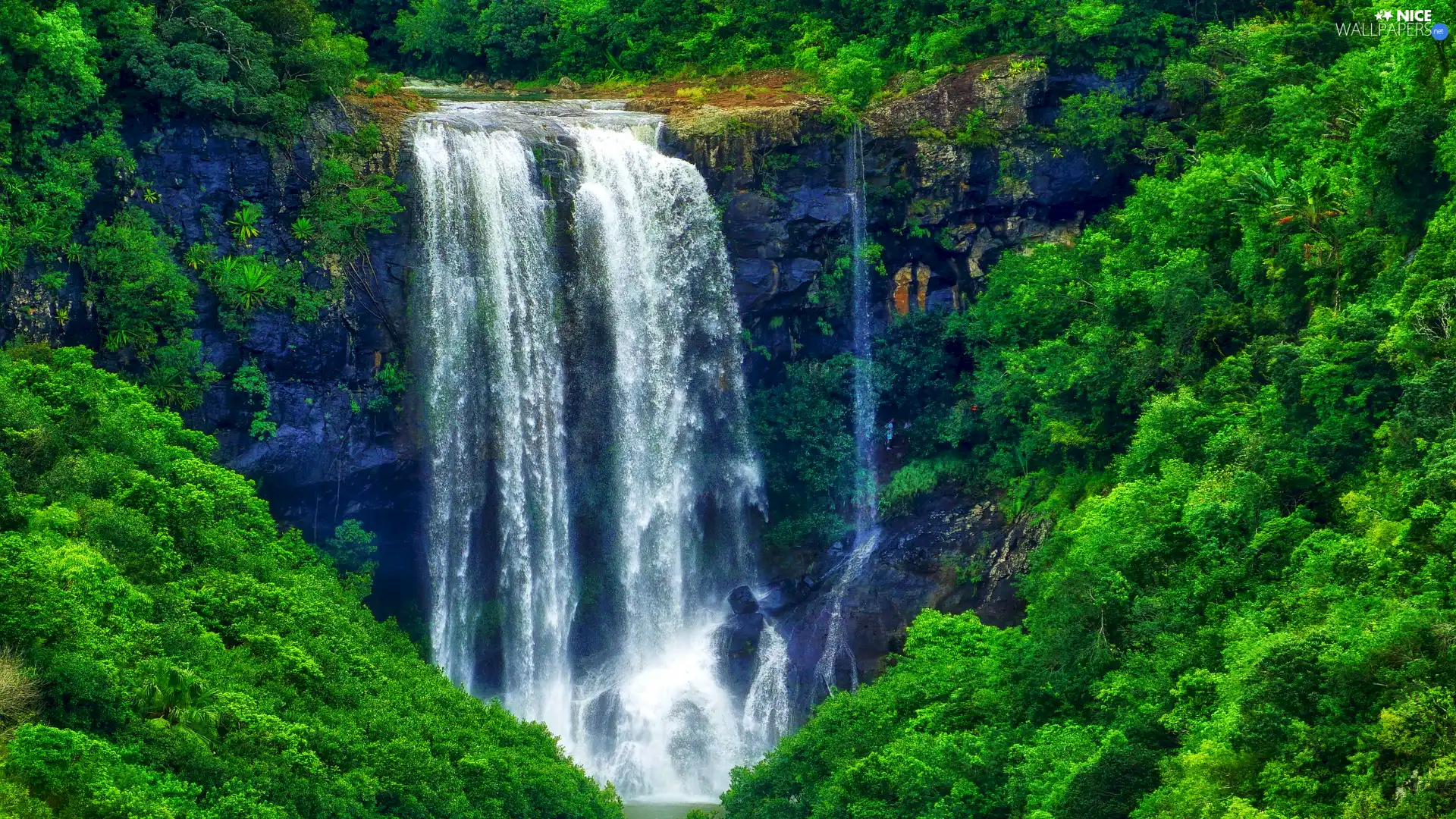 trees, waterfall, Plants, rocks, viewes, green ones