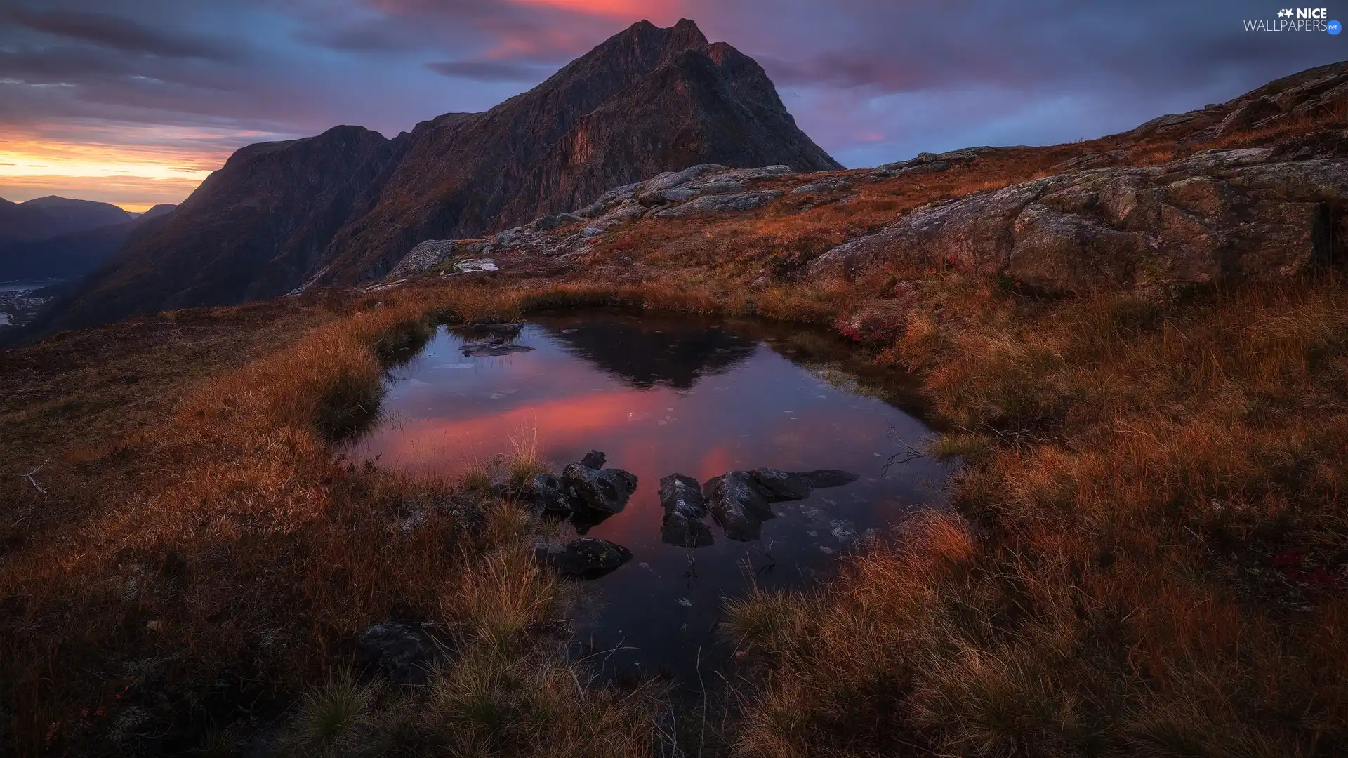 Plants, rocks, puddle, grass, mountains