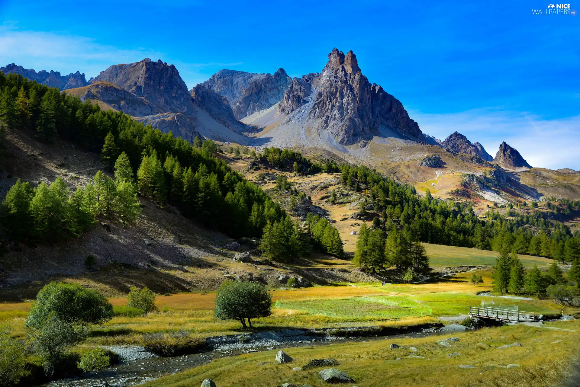 trees, Mountains, River, rocks, View, viewes, bridges