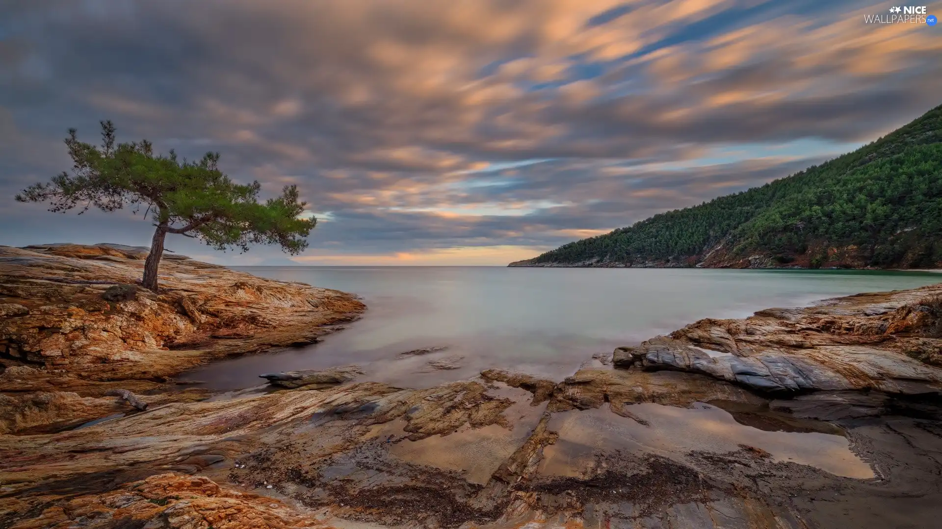 sea, trees, clouds, rocks