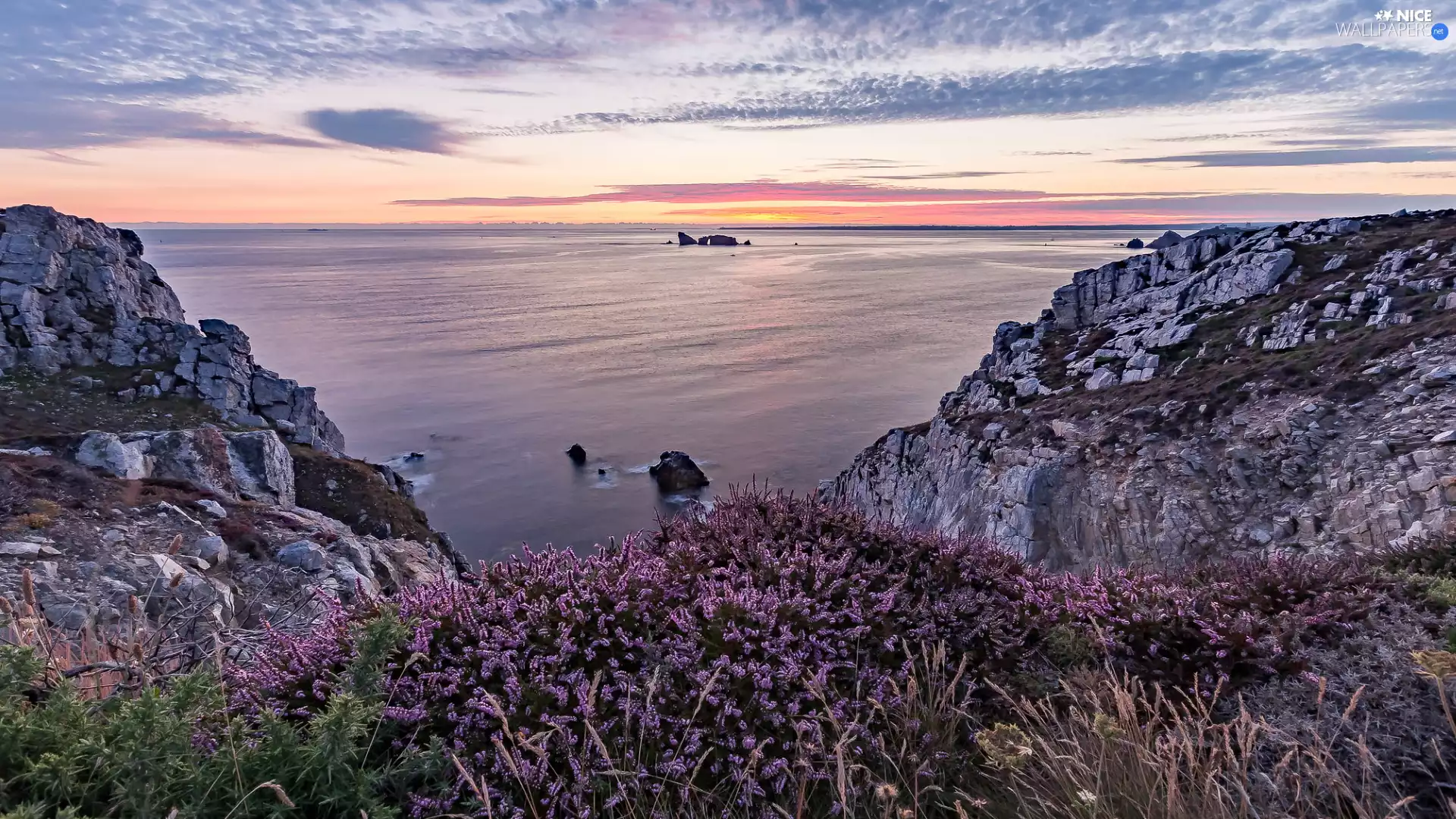 Great Sunsets, heathers, rocks, clouds, sea