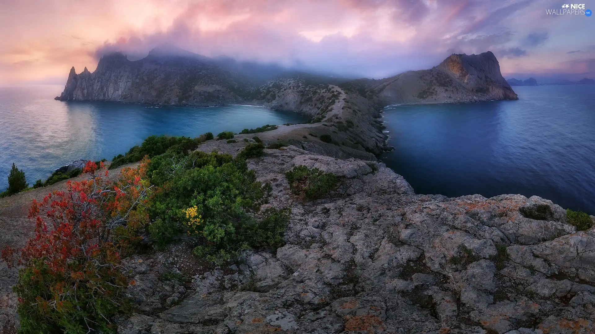 sea, Fog, Plants, rocks