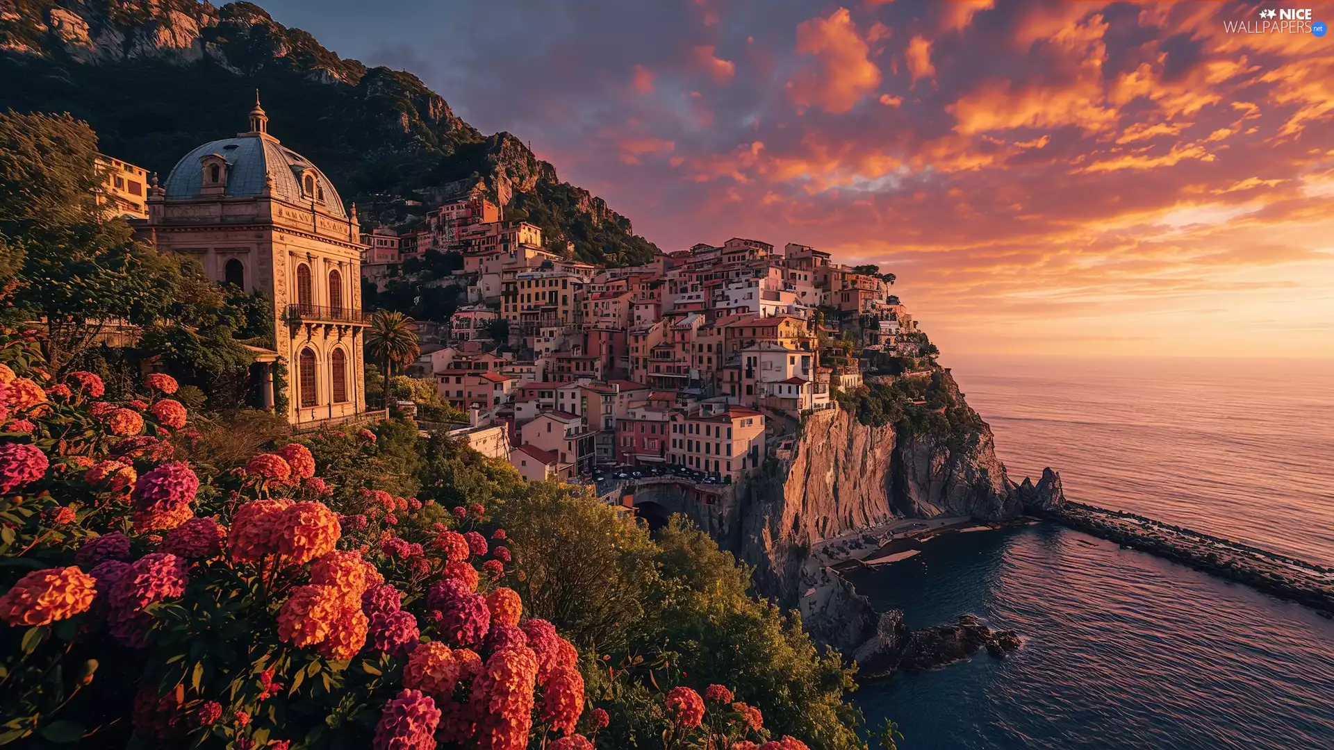 Flowers, Great Sunsets, rocks, Houses, sea