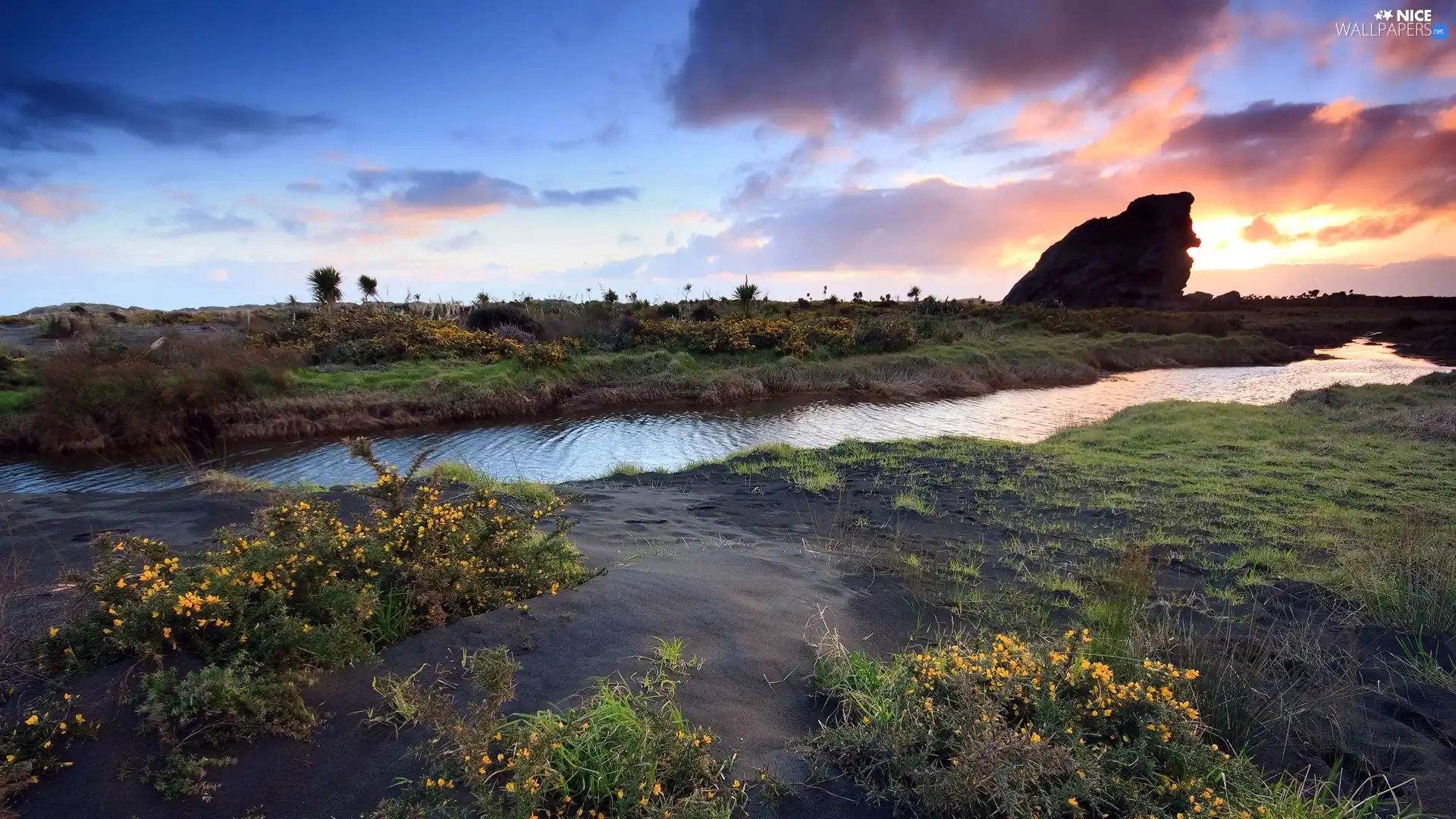 Rocks, Sky, Flowers, Bush, River