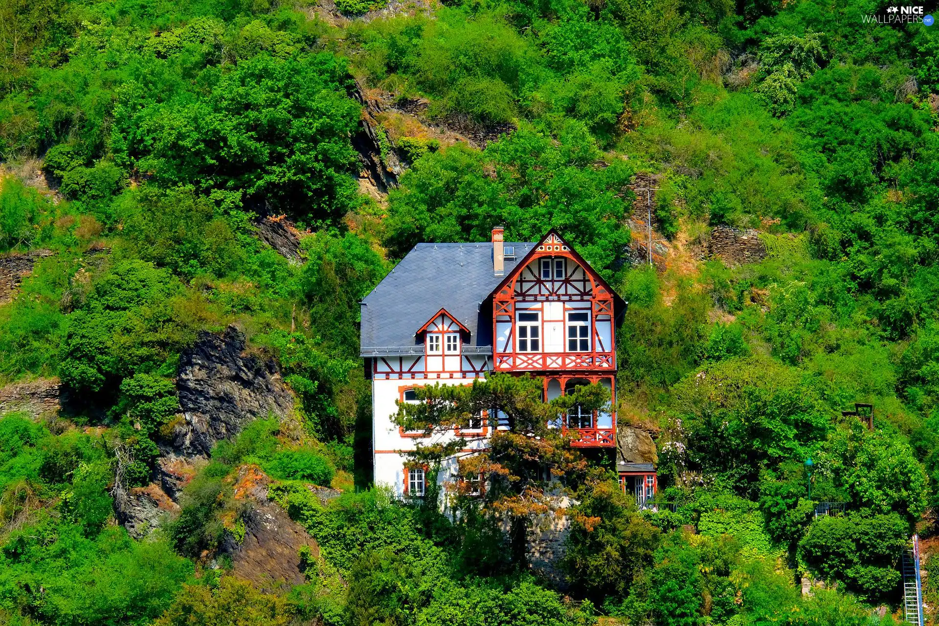 viewes, rocks, slope, trees, house