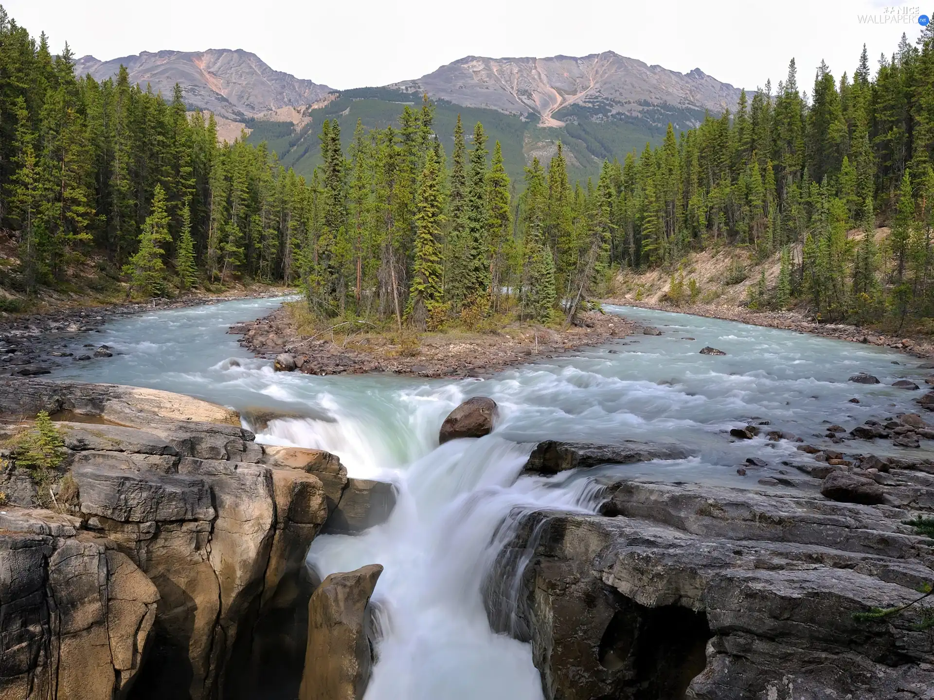 rocks, Stones, current, forest, River