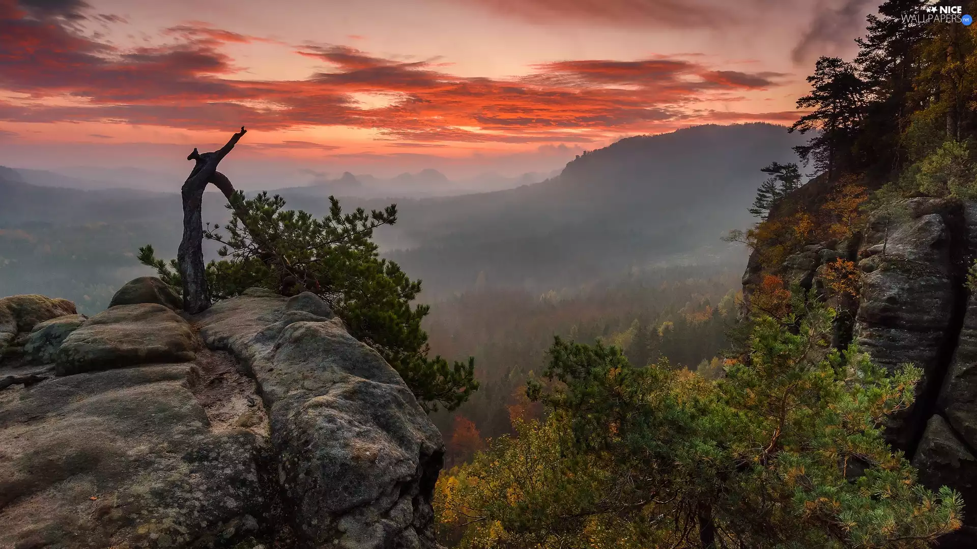 Mountains, Great Sunsets, rocks, pine, Fog, clouds