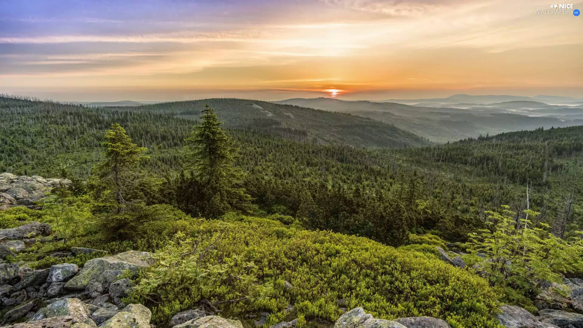 trees, Great Sunsets, Mountains, The Hills, viewes, rocks