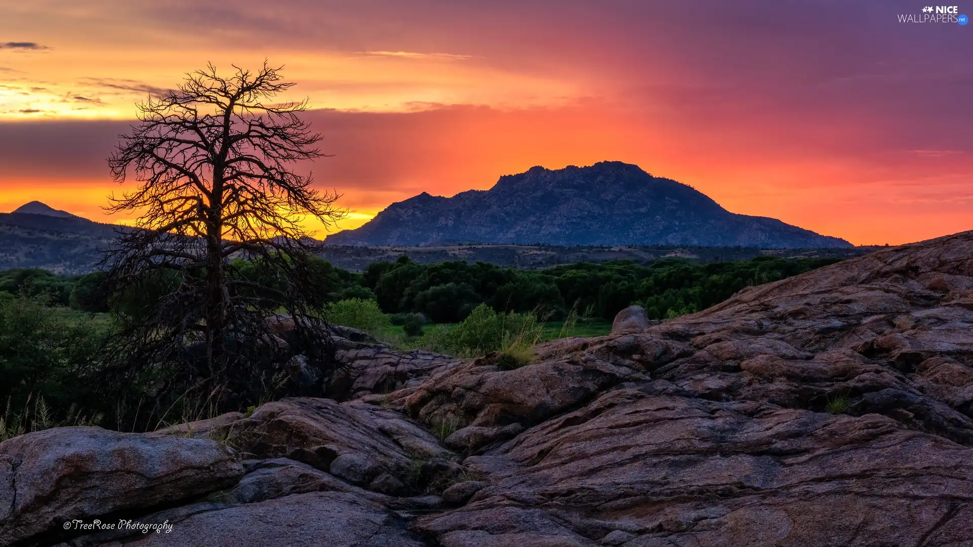 trees, Sky, Mountains, rocks, Great Sunsets