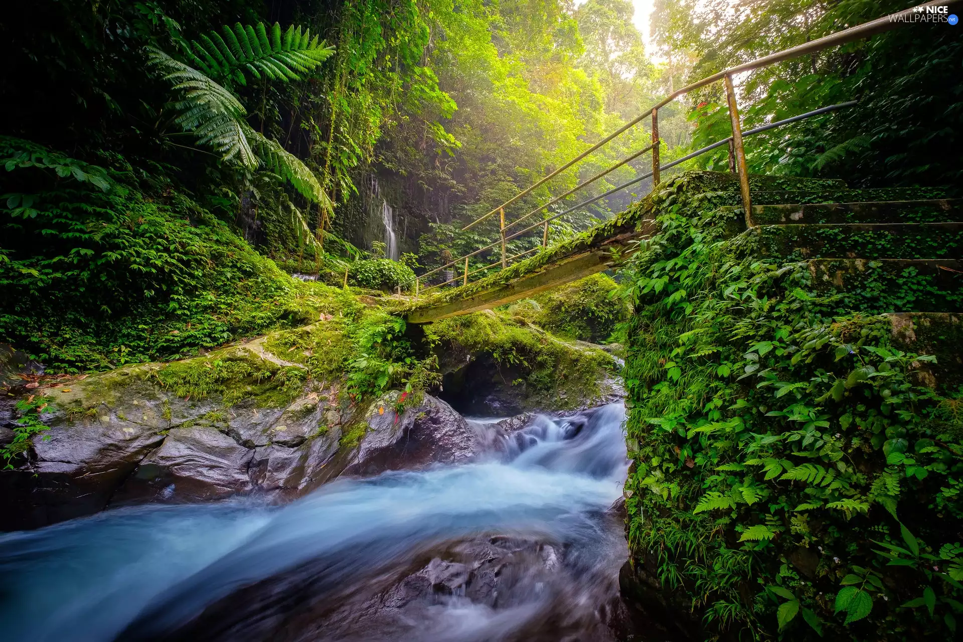viewes, forest, bridge, rocks, River, trees