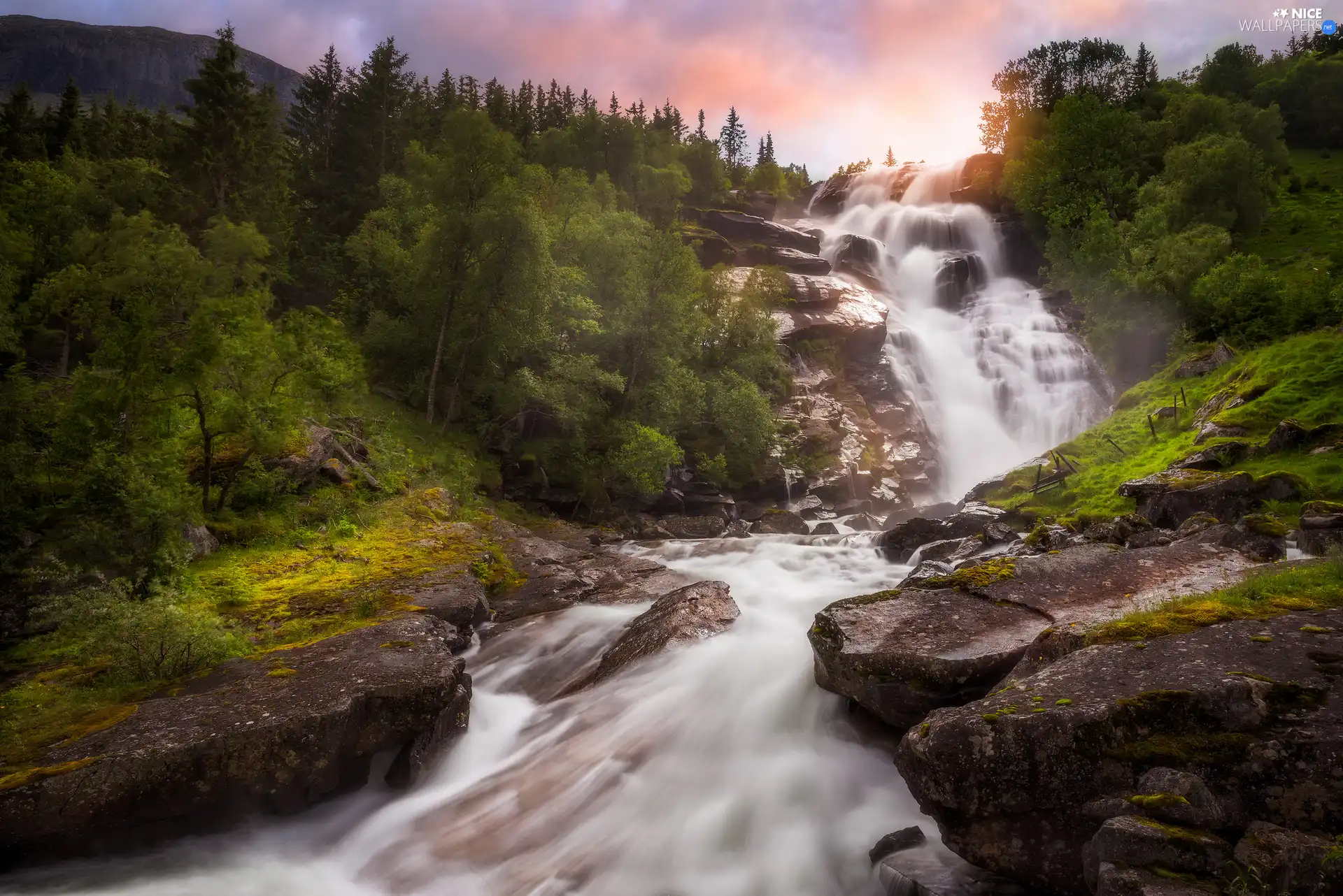 Bush, rocks, trees, viewes, waterfall