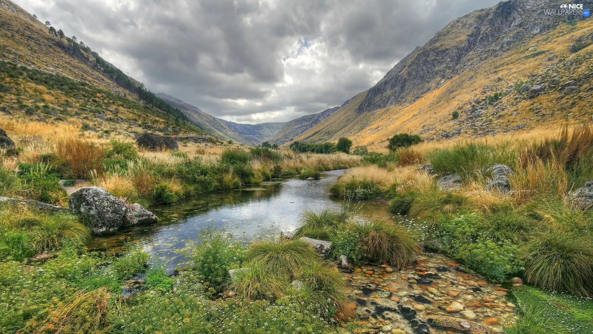 Valley, grass, rocks, stream