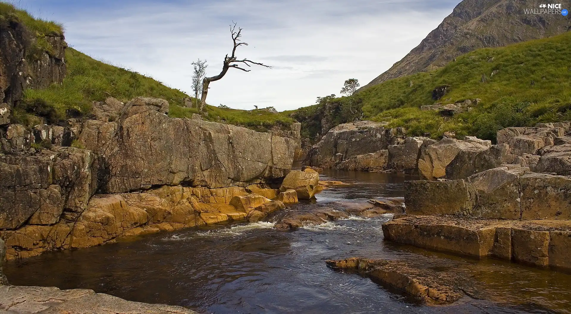 Rocks, Park, rocks, VEGETATION, River, national