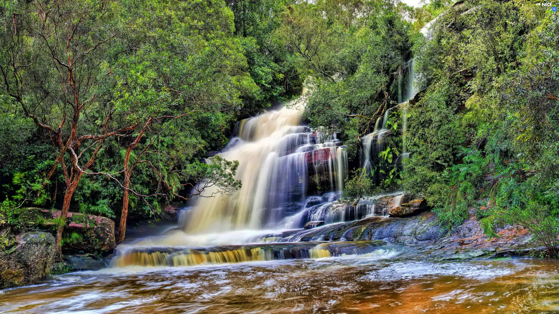 forest, cascade, viewes, Rocks, waterfall, trees, green