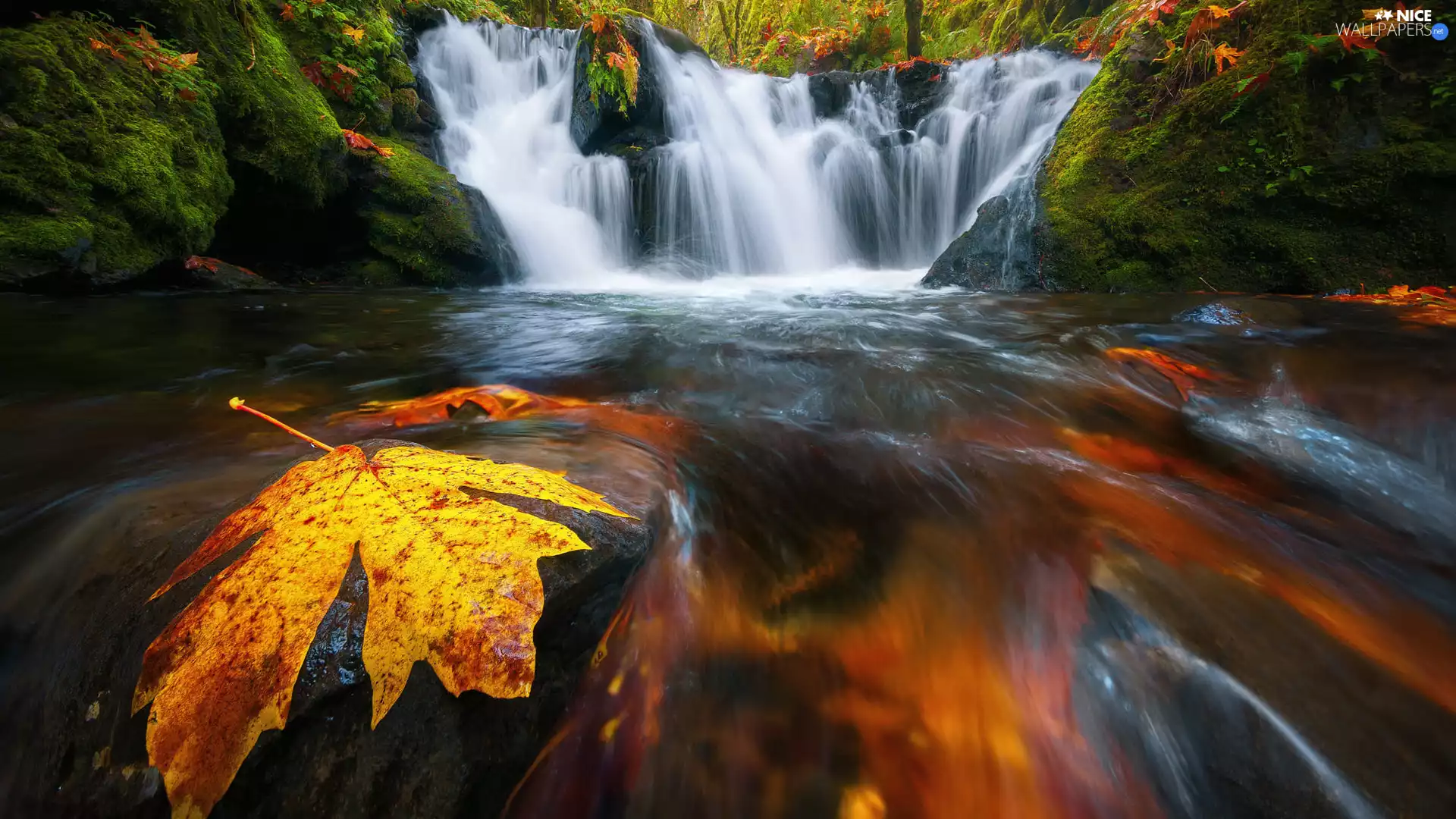 mossy, rocks, waterfall, Leaf, autumn