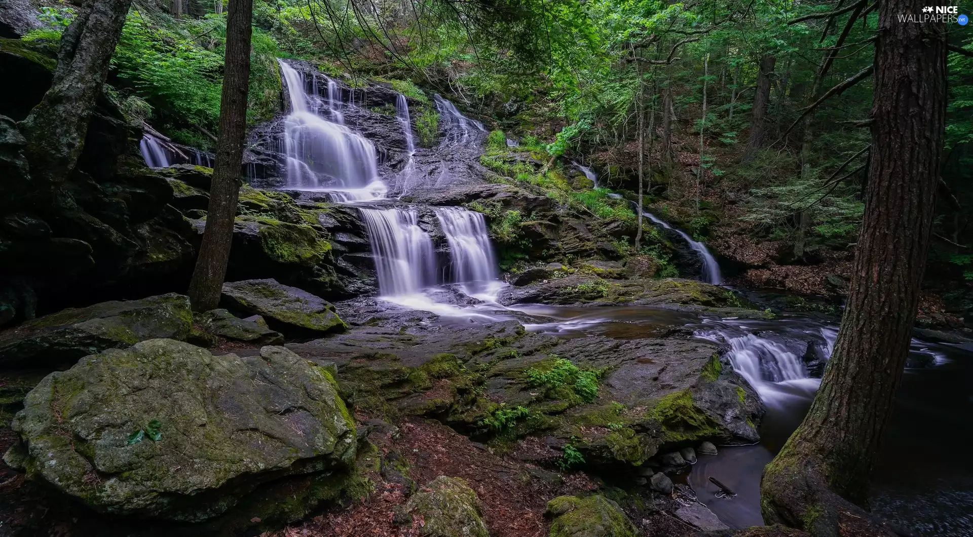 Stones, rocks, waterfall, mossy, forest