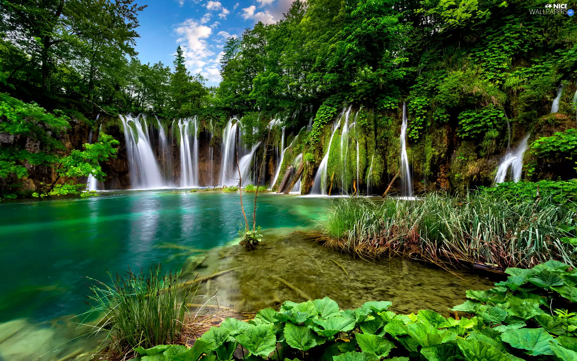 rocks, trees, green, viewes, Plitvice Lakes National Park, waterfalls, Coartia