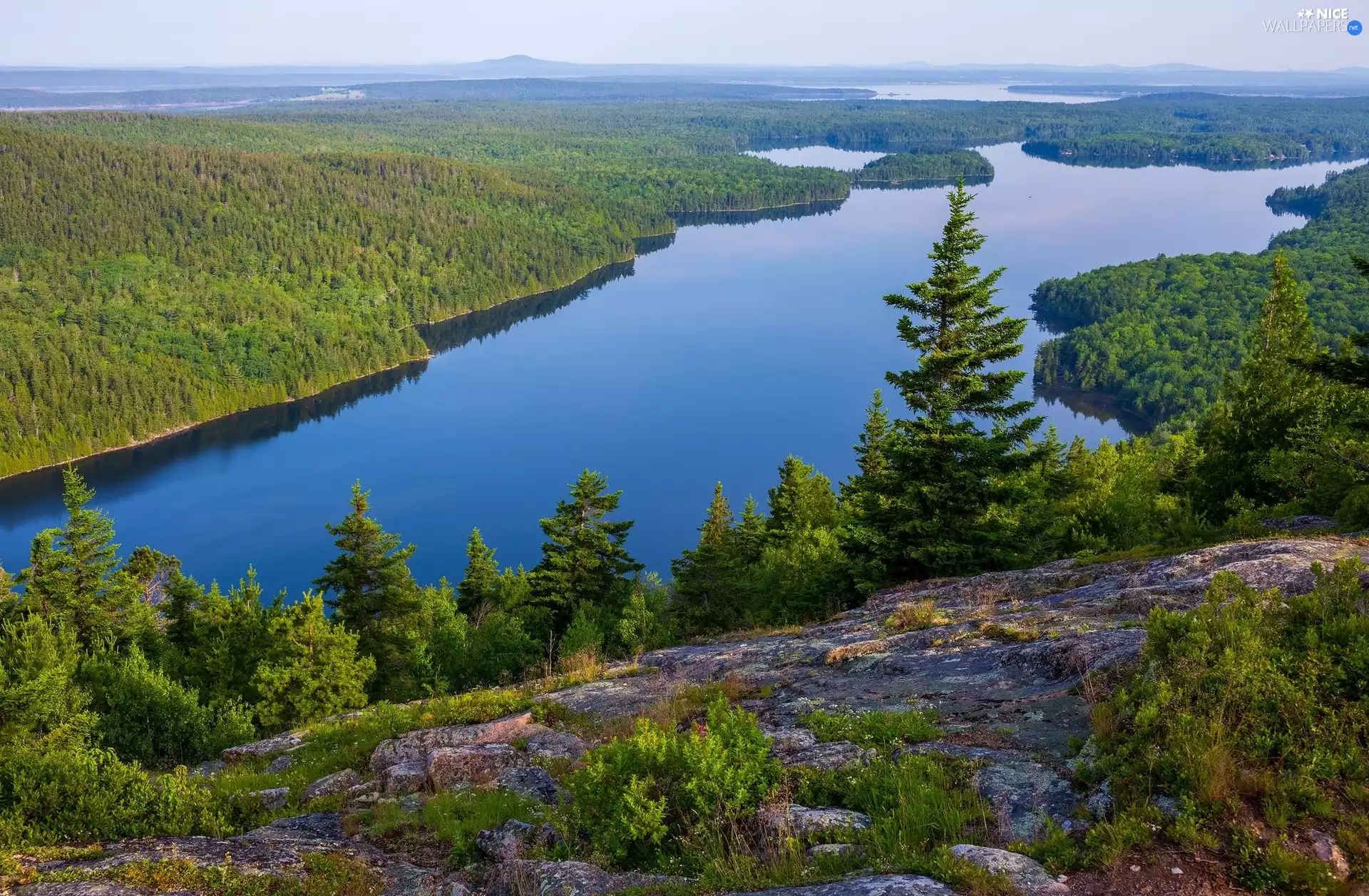 viewes, Rocks, woods, trees, River