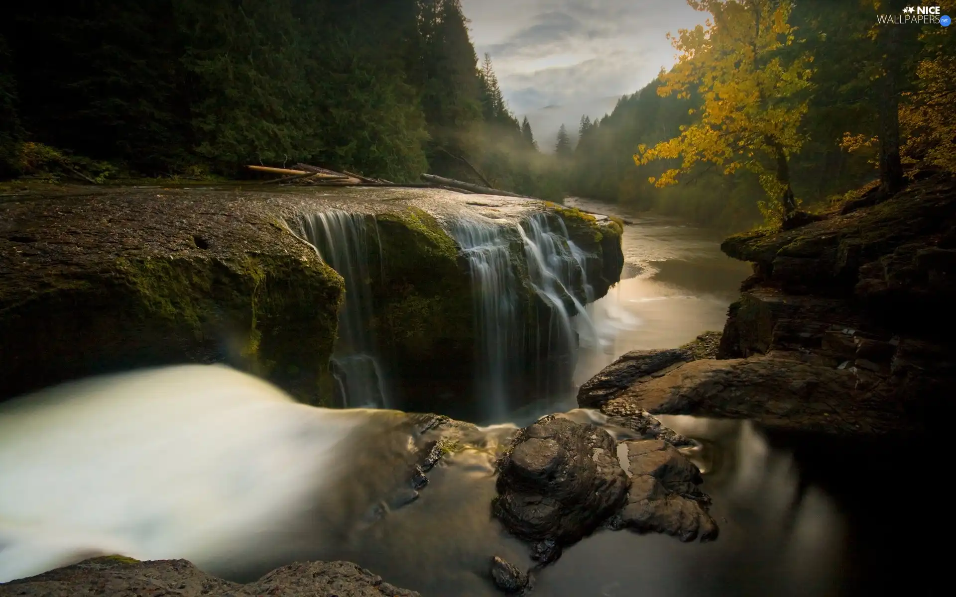 woods, waterfall, Rocks, River