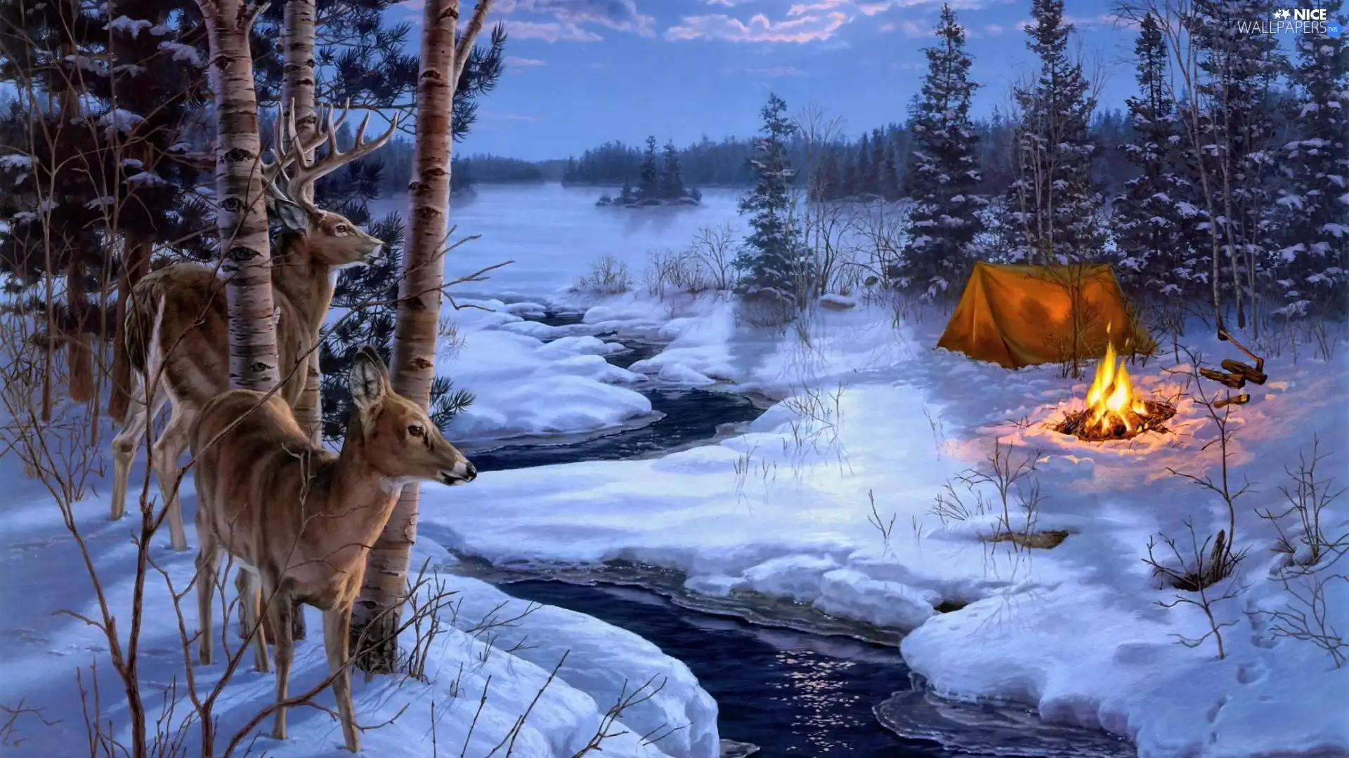 deer, forest, Tent, brook, winter, doe, fire