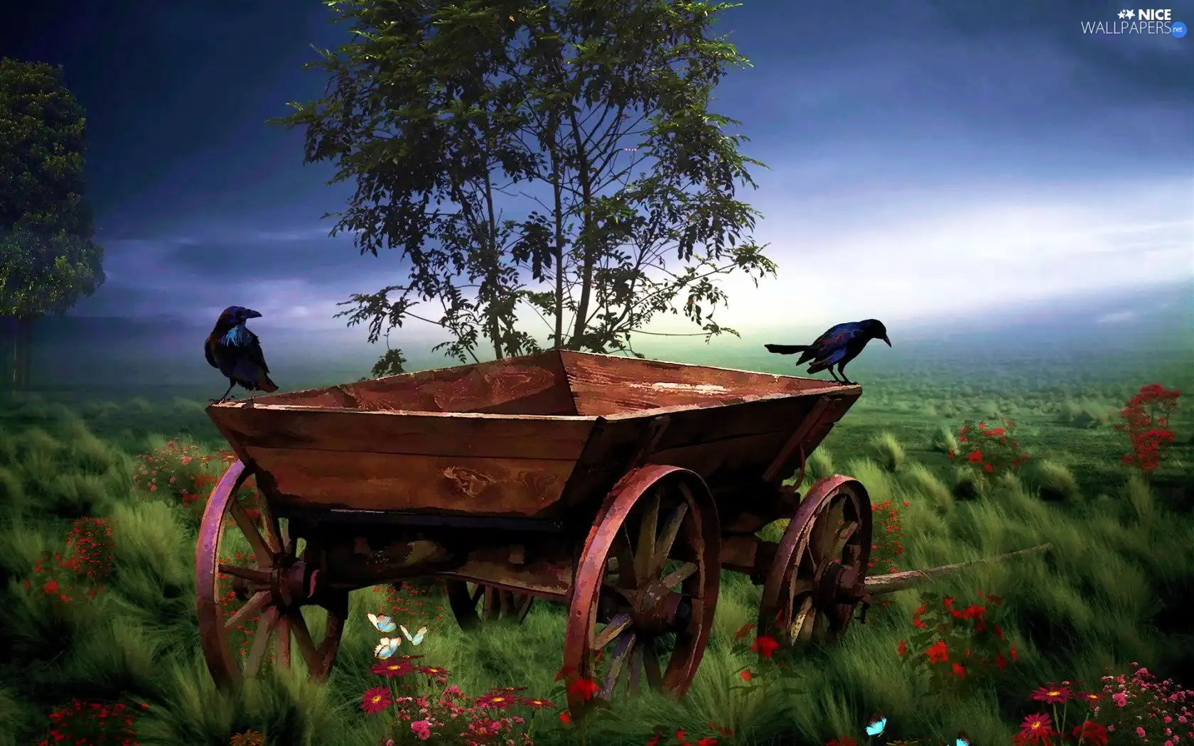 Rooks, Field, wagon